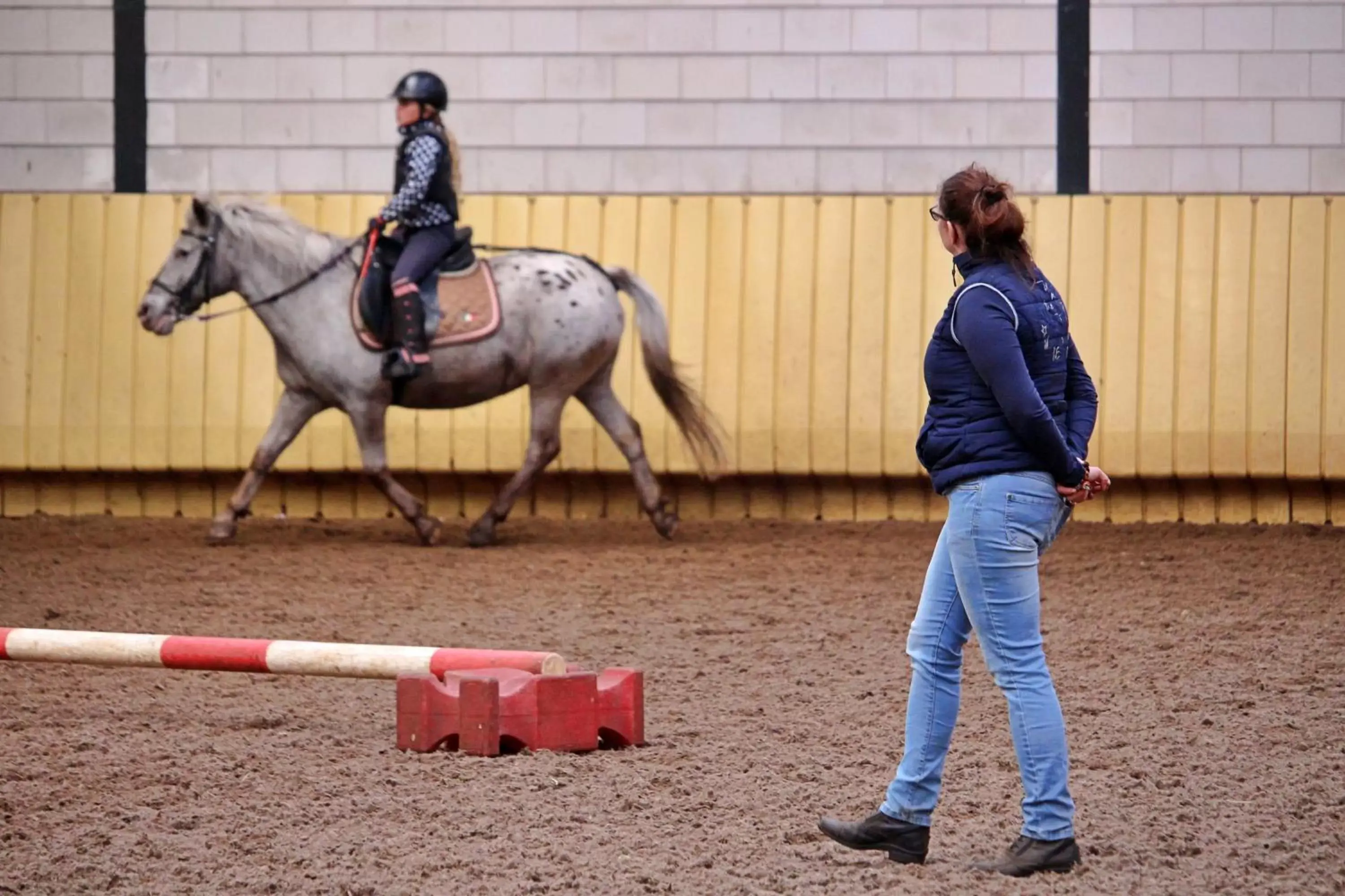 Activities in Horsetellerie Rheezerveen