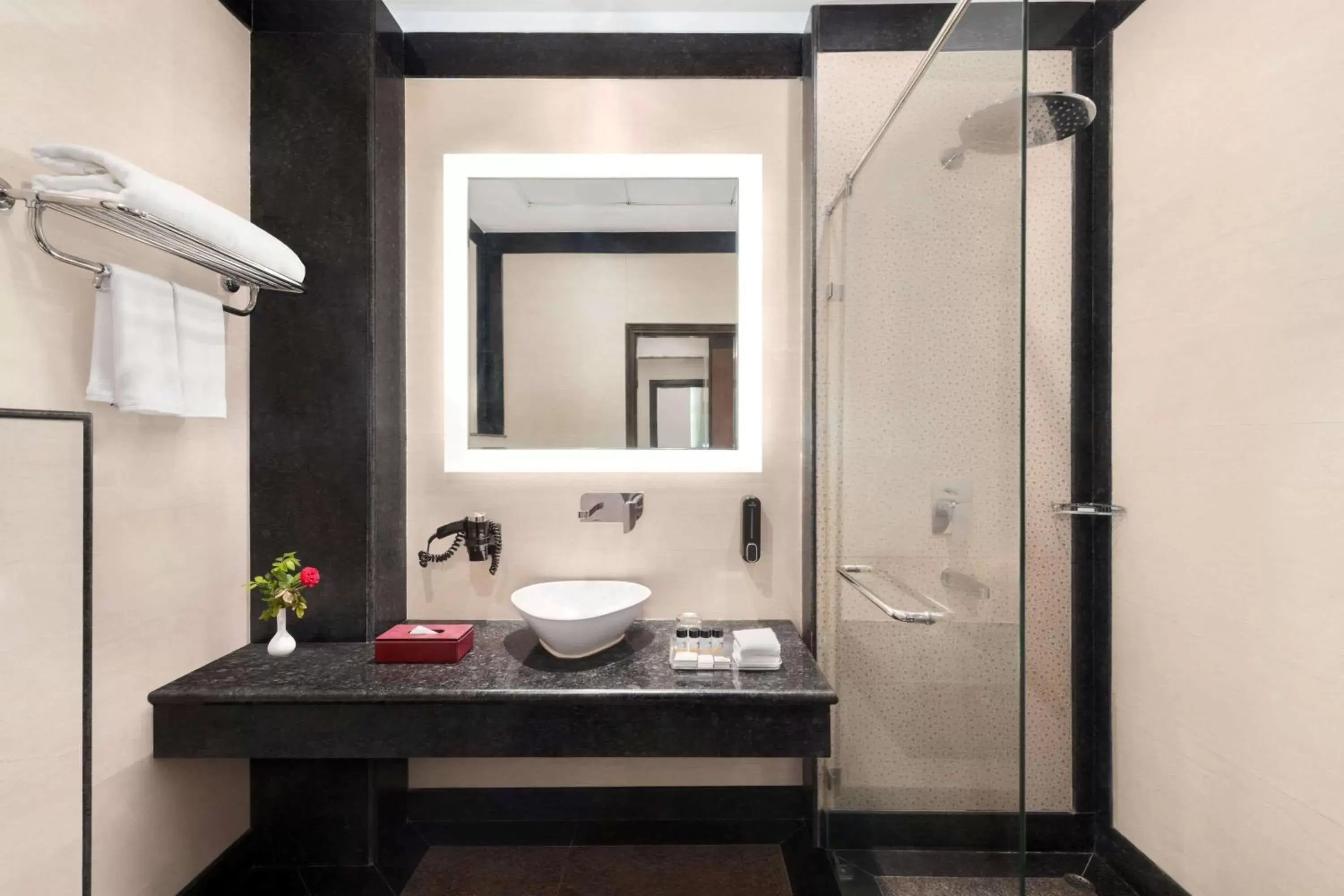 Bathroom in Ramada by Wyndham Varanasi Katesar