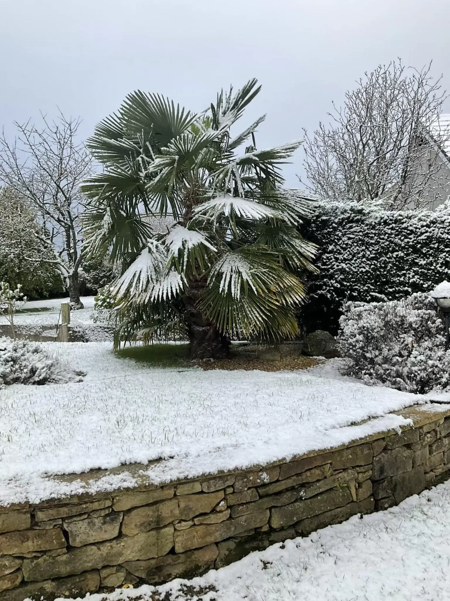 Garden, Winter in Armidale Cottages B&B