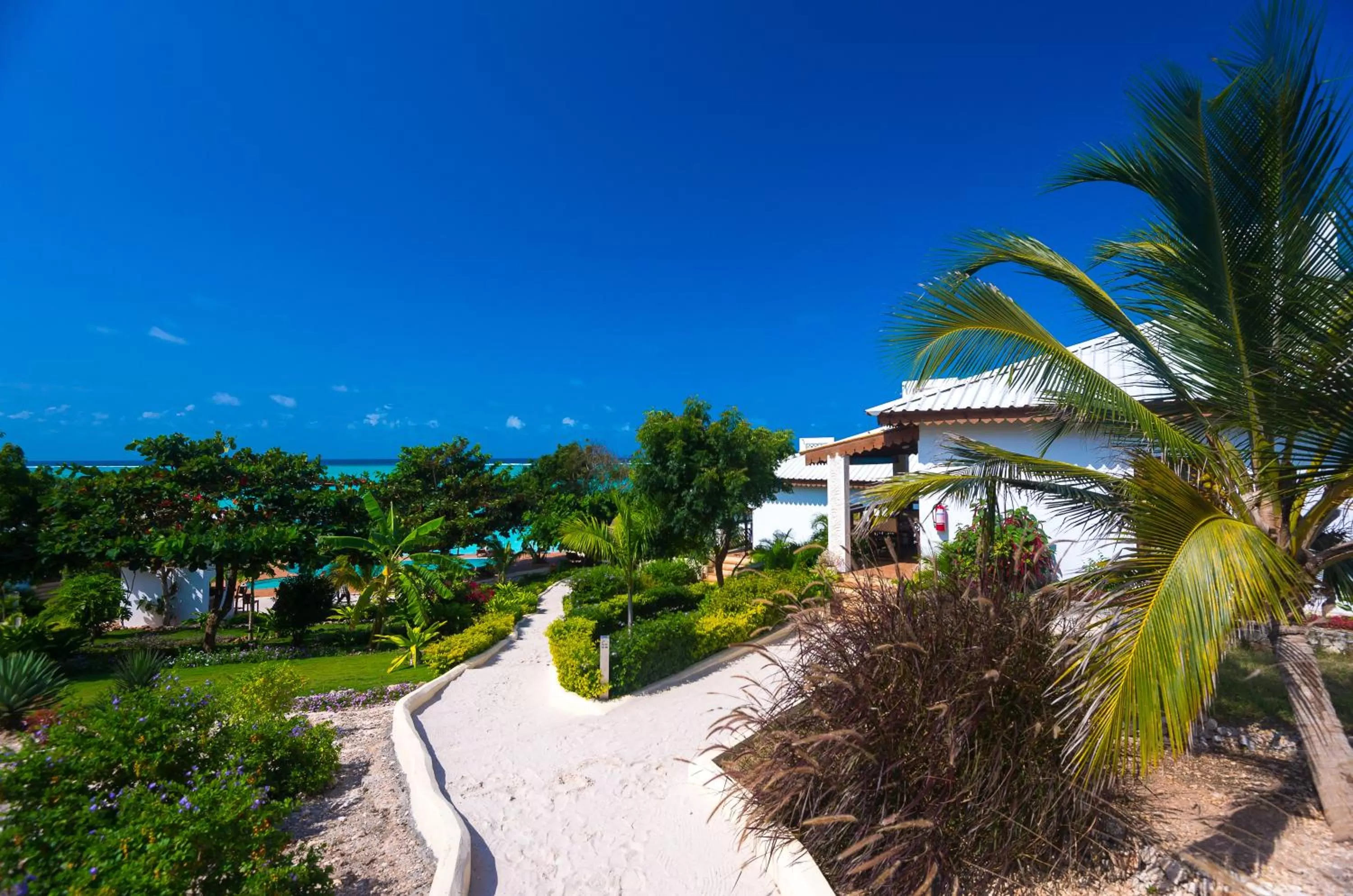 Garden in Warere Beach