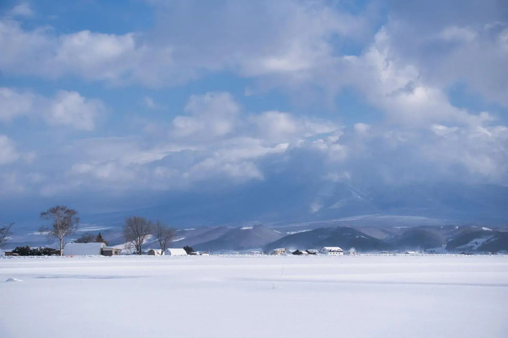 Skiing, Winter in Hotel Edel Warme