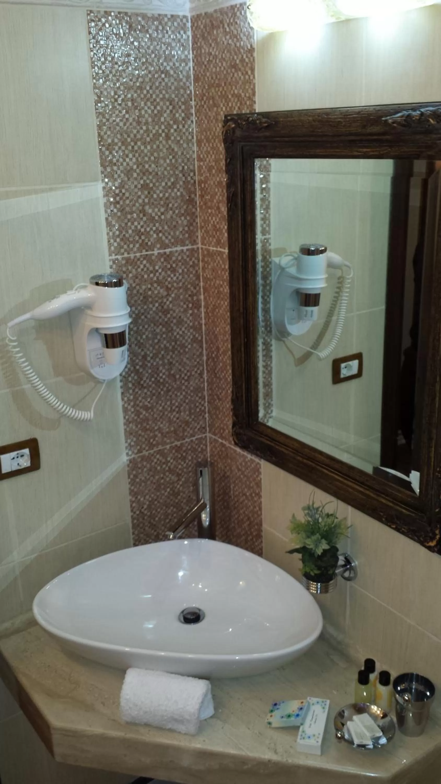 Toilet in Hotel Villa Fernando Tirana