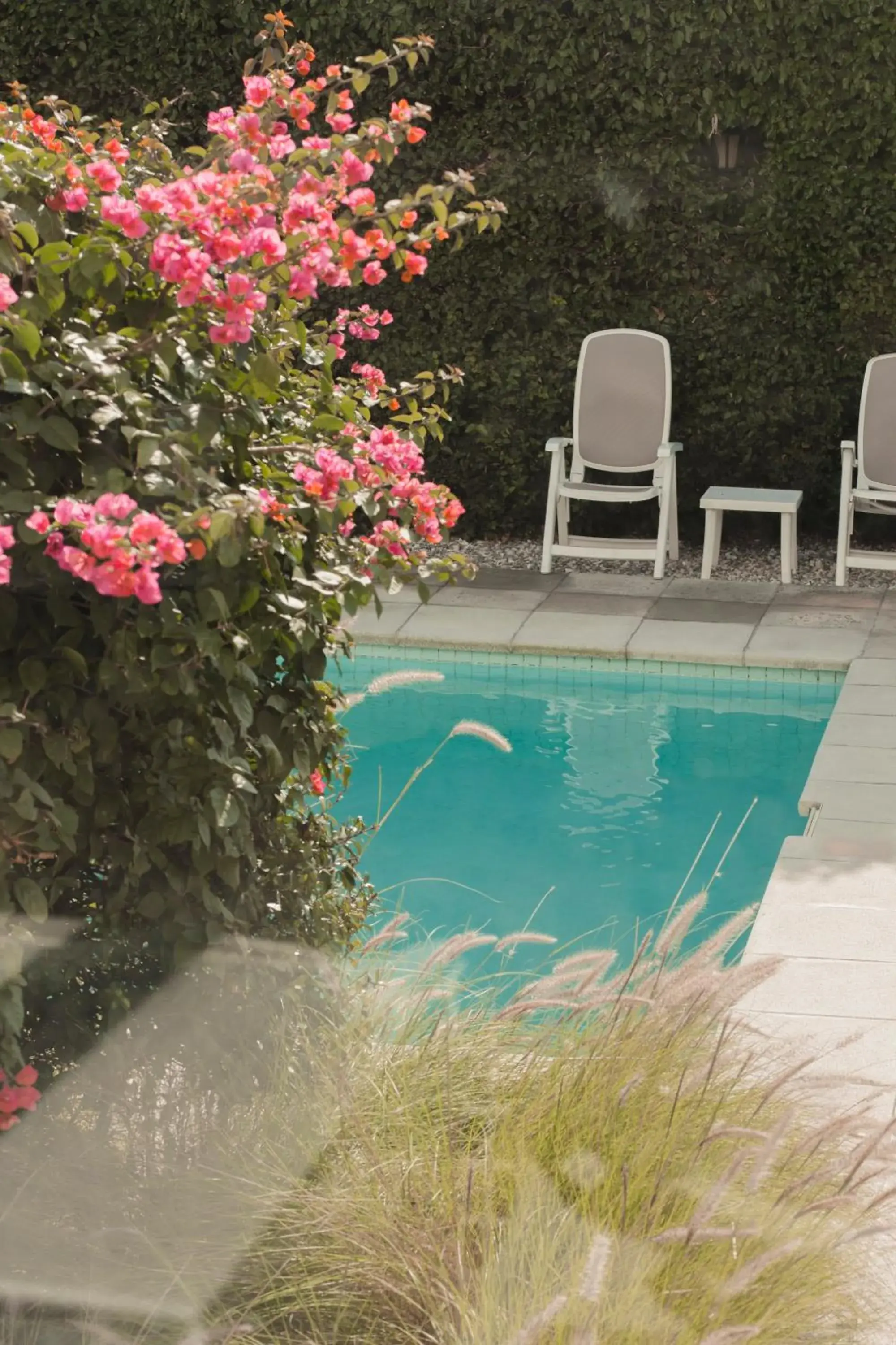 Swimming Pool in Atlantico Boutique Hotel