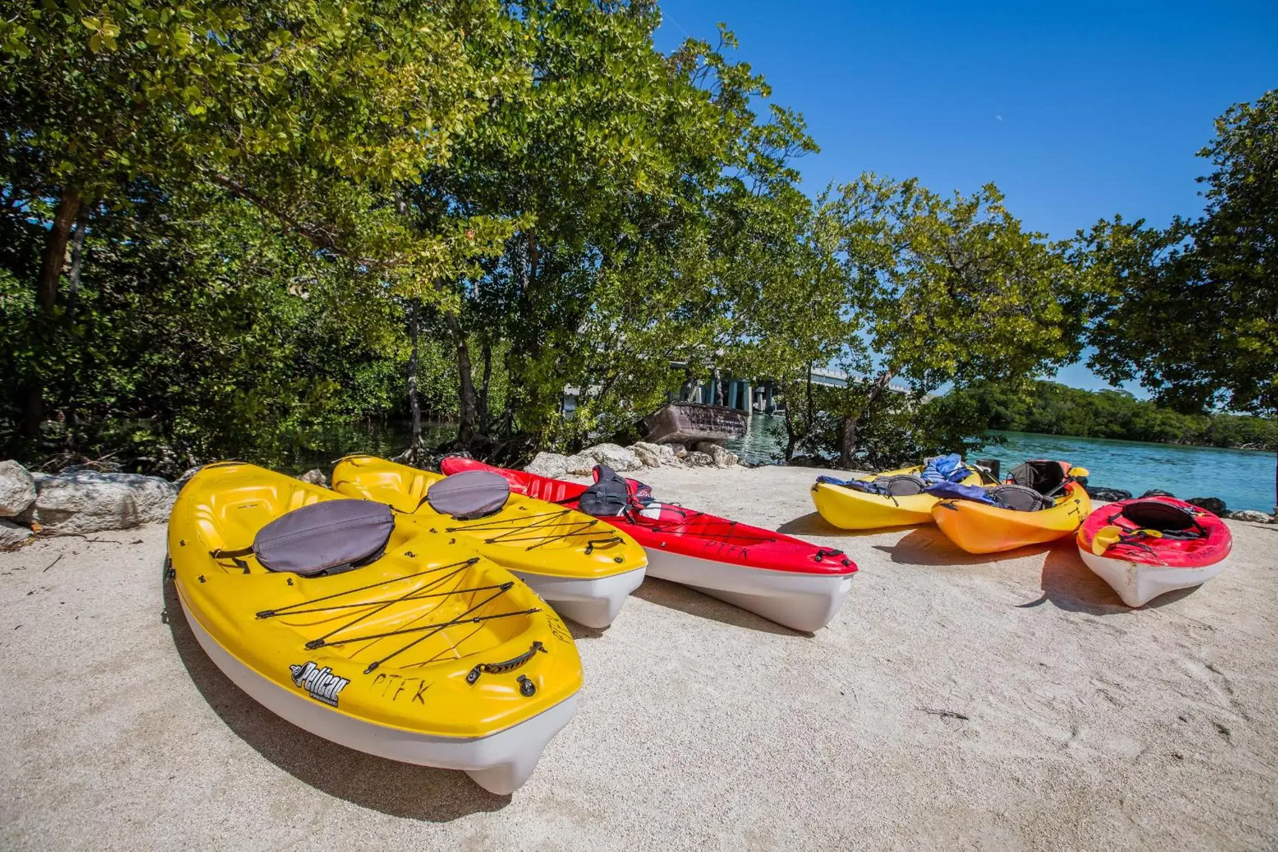 Canoeing, Beach in Creekside Inn Islamorada