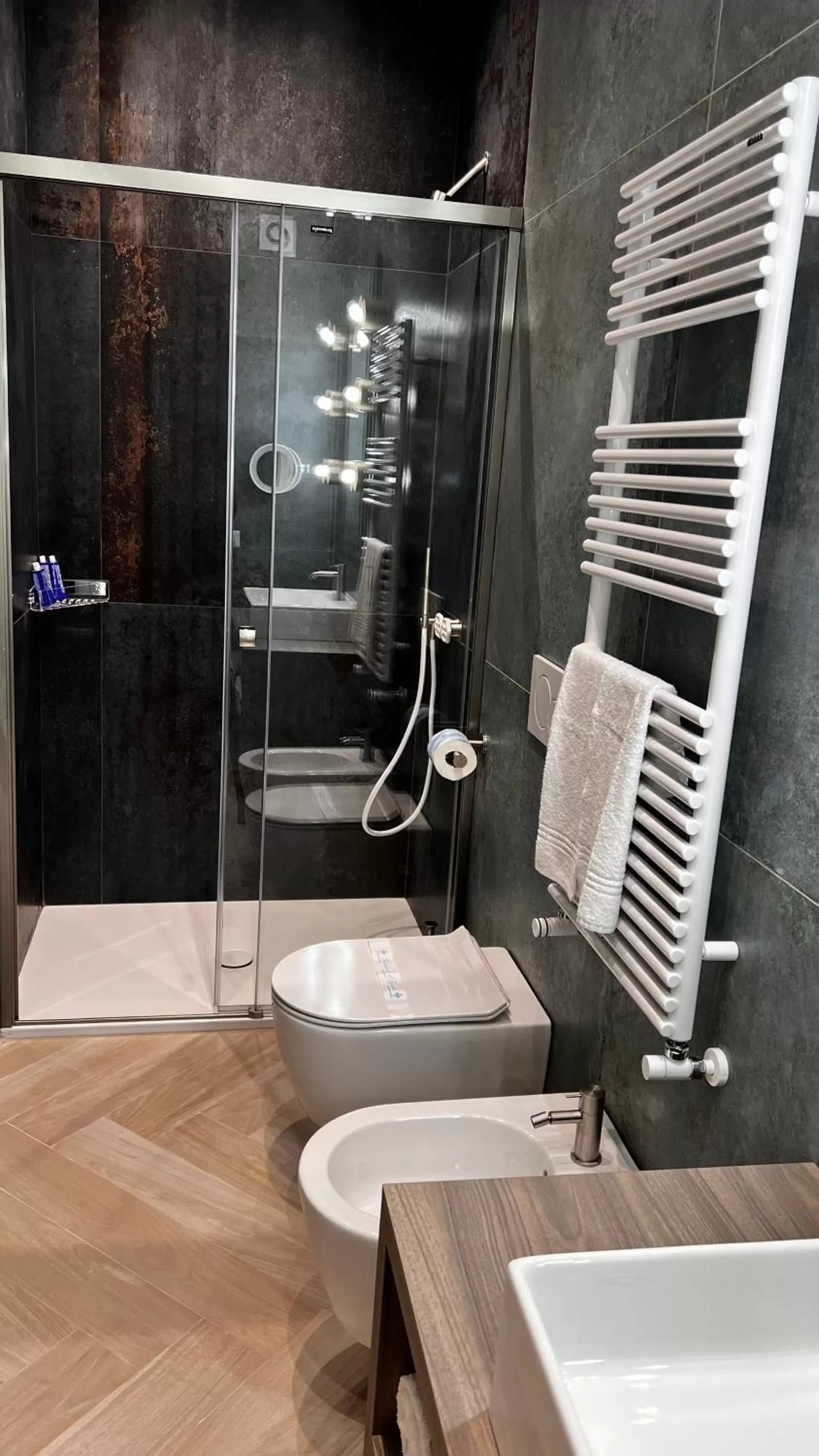 Shower in Patriziella 4 Rooms