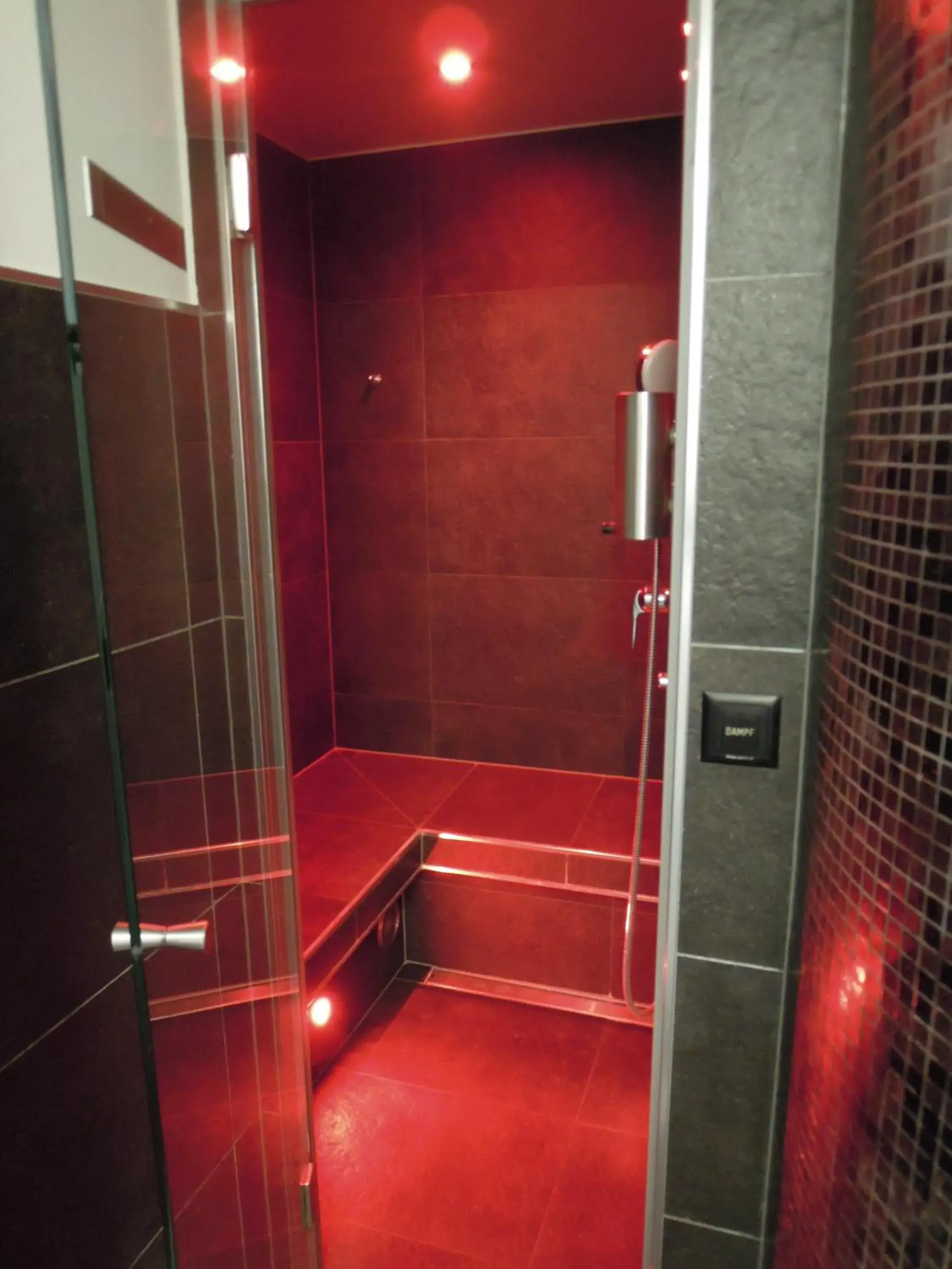 Steam room, Bathroom in FidazerHof