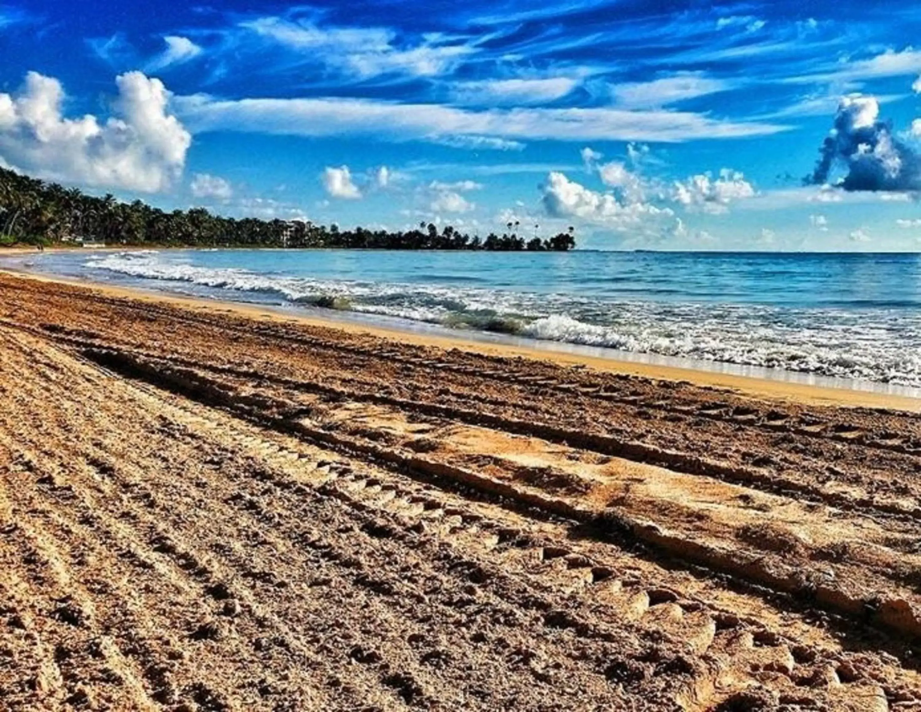 Beach in Park Royal Homestay Club Cala Puerto Rico