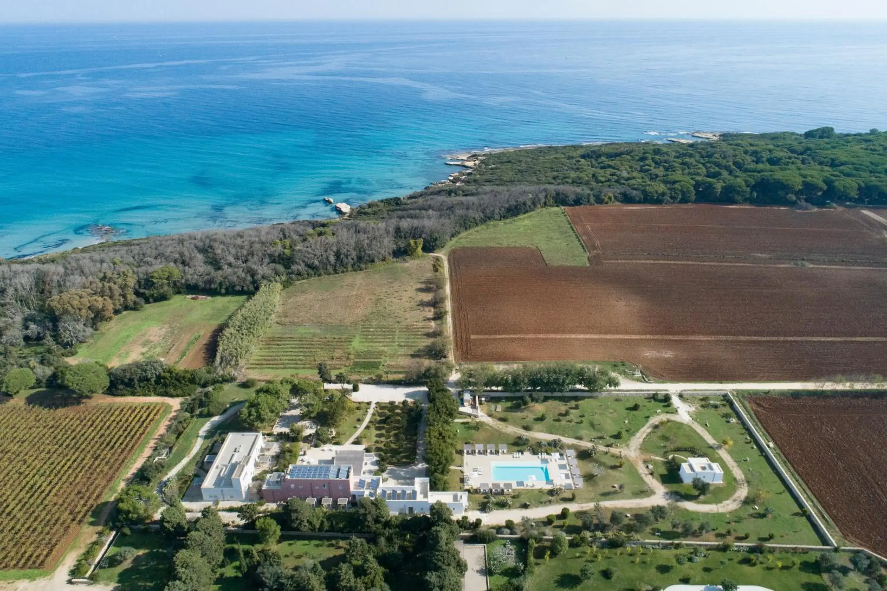 View (from property/room), Bird's-eye View in Masseria Mongio dell'Elefante