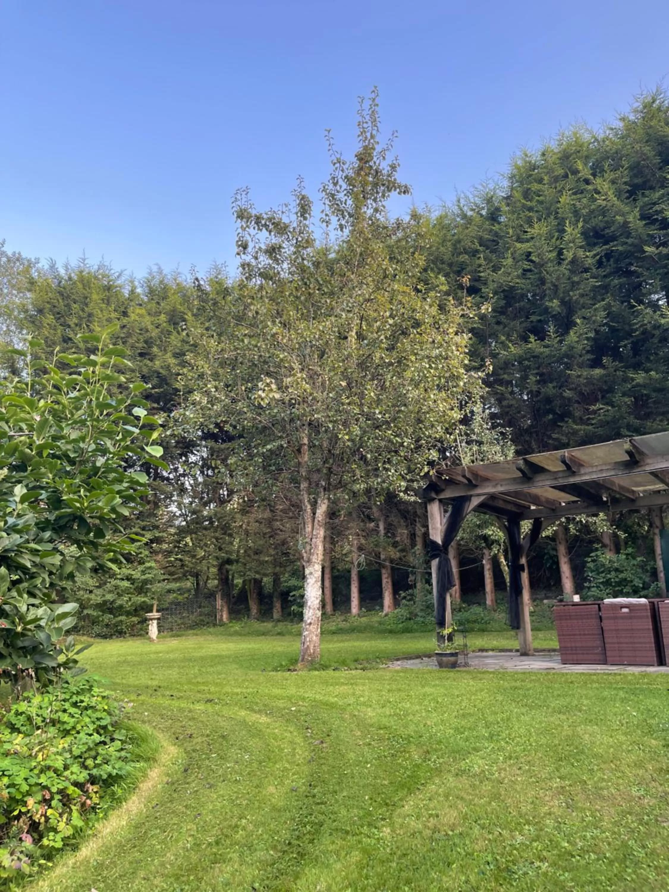 Garden in South Lodge House