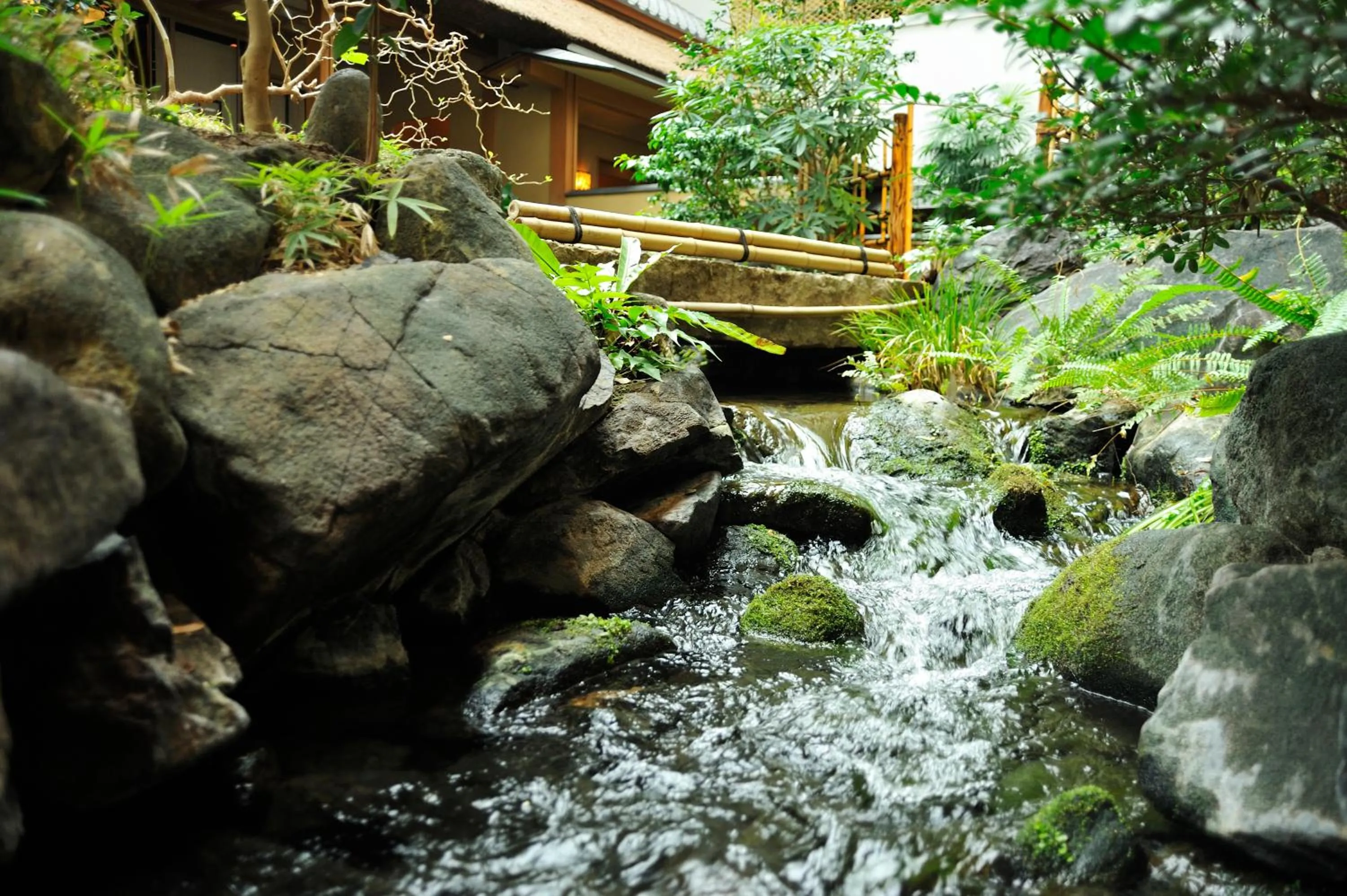 On site in Hotel Gajoen Tokyo