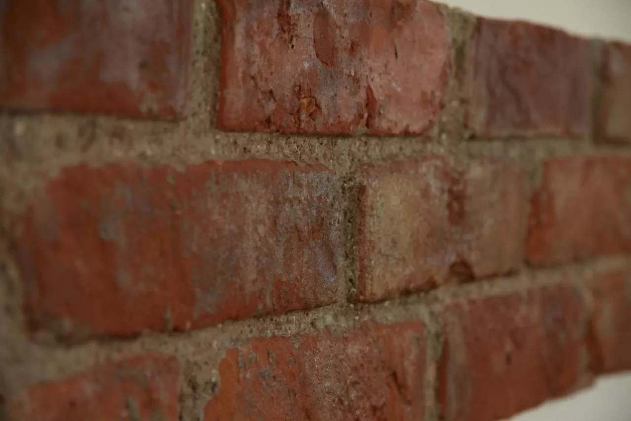 Area and facilities in Lohauserhof - Biohof und Hotel