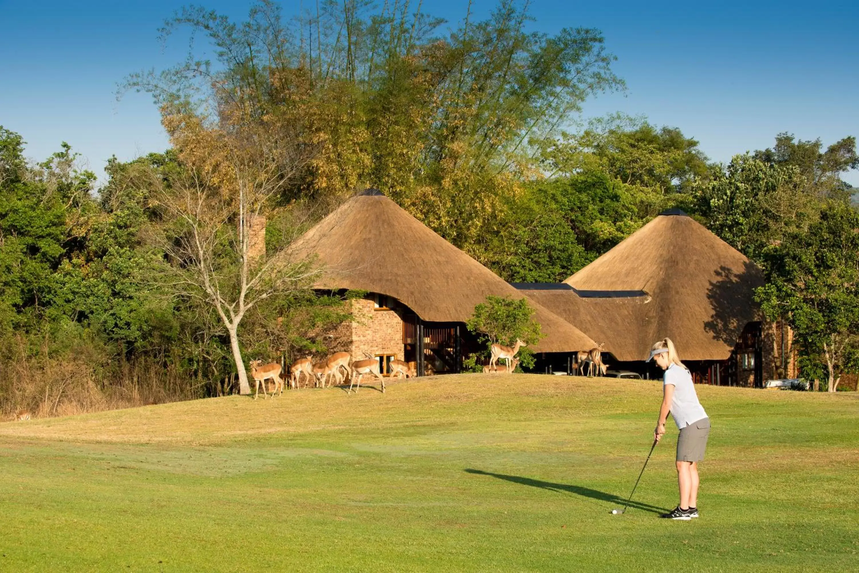 Golfcourse, Golf in Kruger Park Lodge