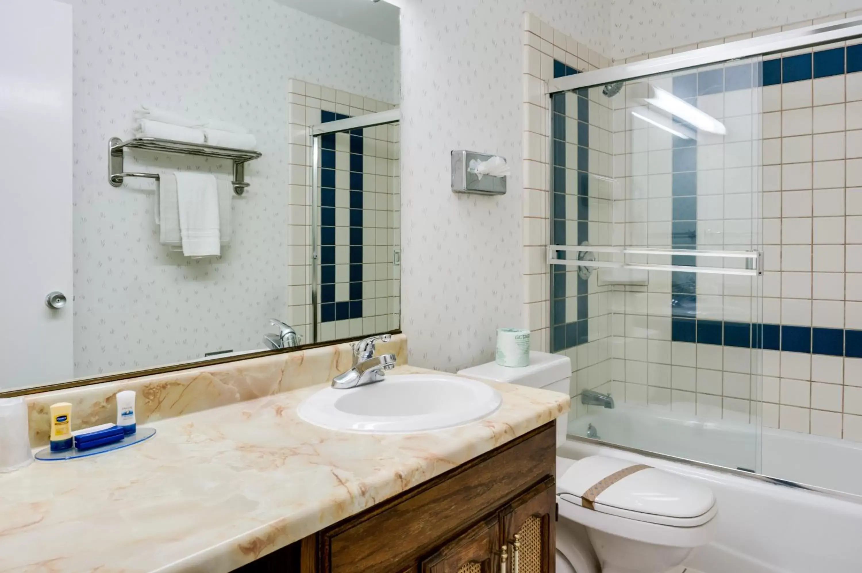 Shower, Bathroom in Nob Hill Motor Inn