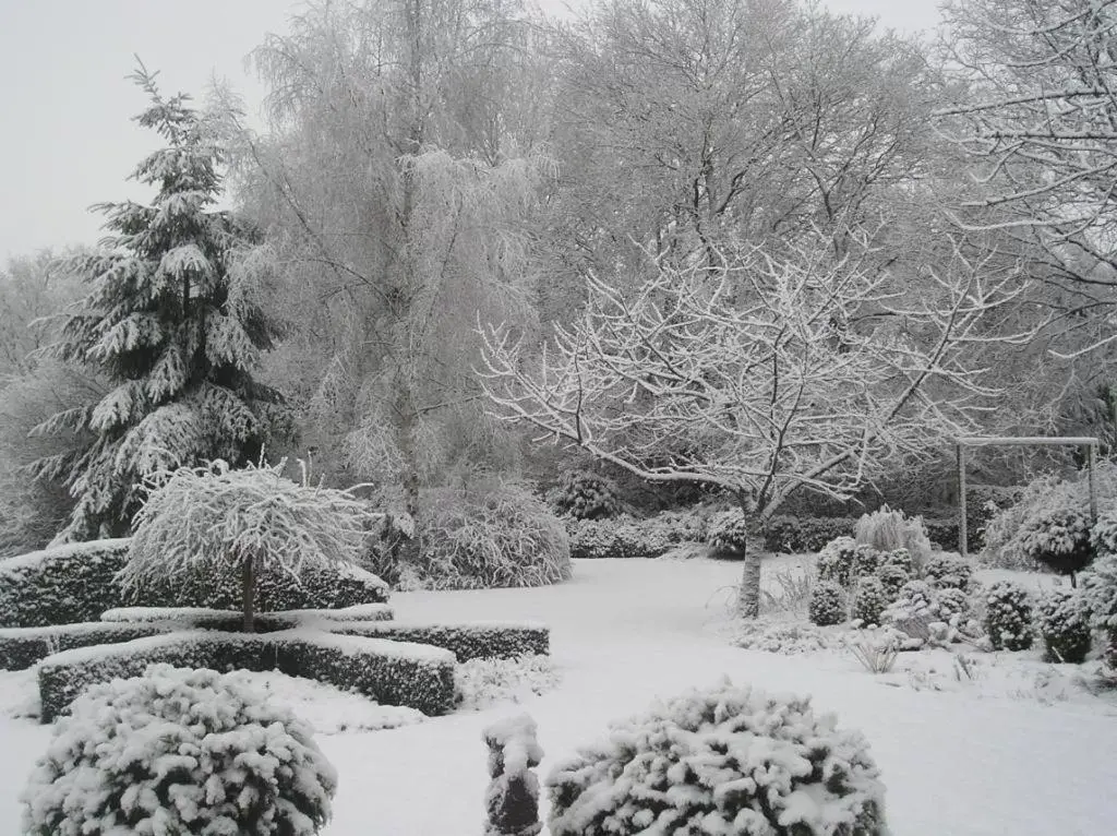 View (from property/room), Winter in 't Rond Bargie