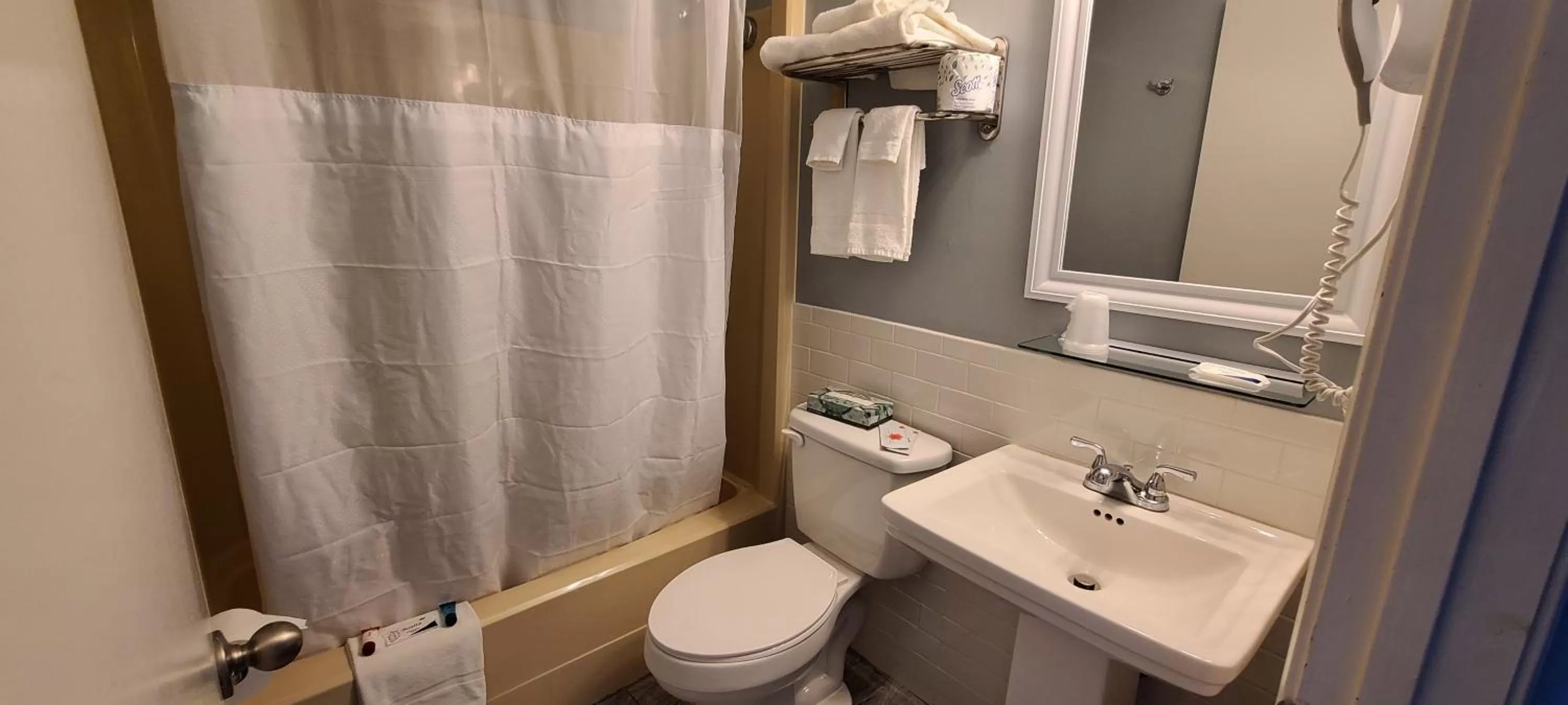 Toilet in Hampton Village Inn