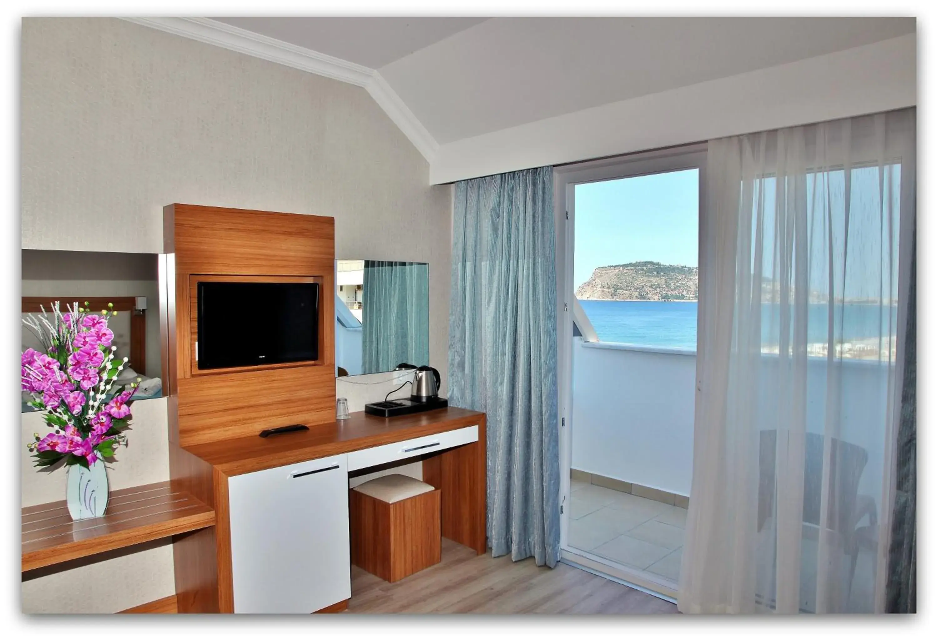 TV and multimedia, TV/Entertainment Center in Mesut Hotel