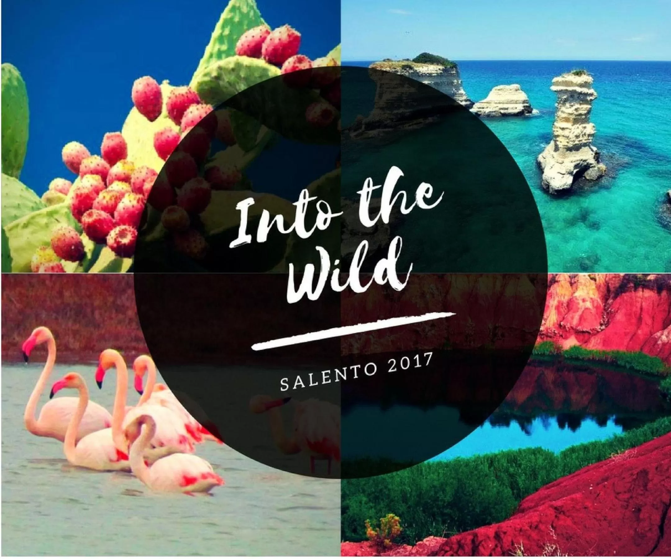 Natural landscape in ZO. NE. Baroque B&B