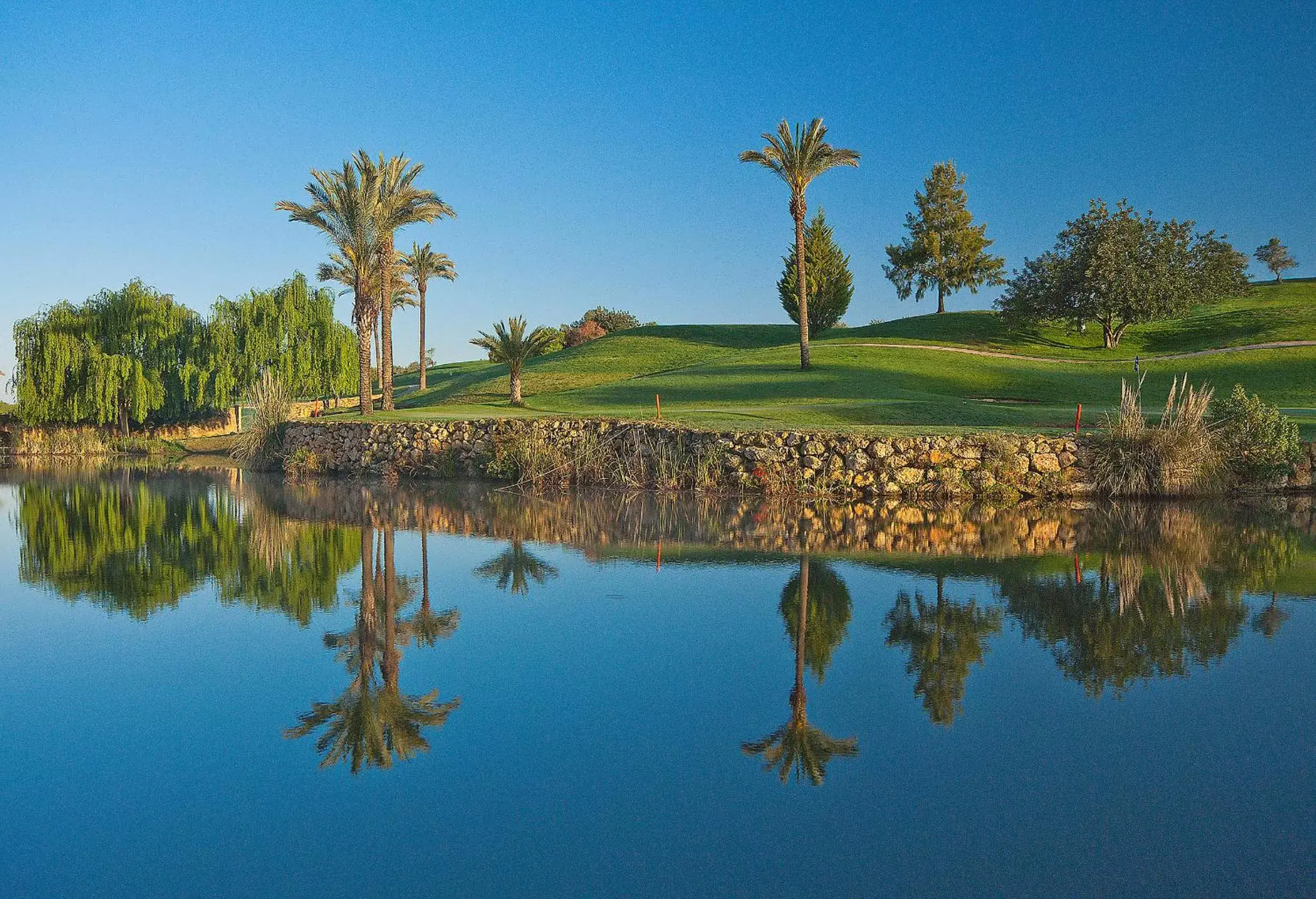 Natural Landscape in Pestana Gramacho Residences