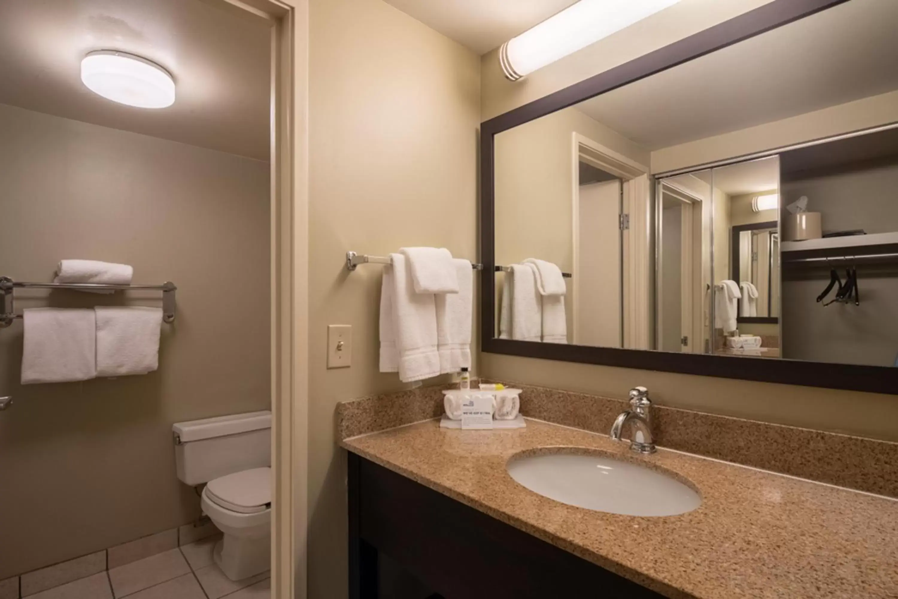 Bathroom in Holiday Inn Express Hotel & Suites Pittsburgh Airport, an IHG Hotel