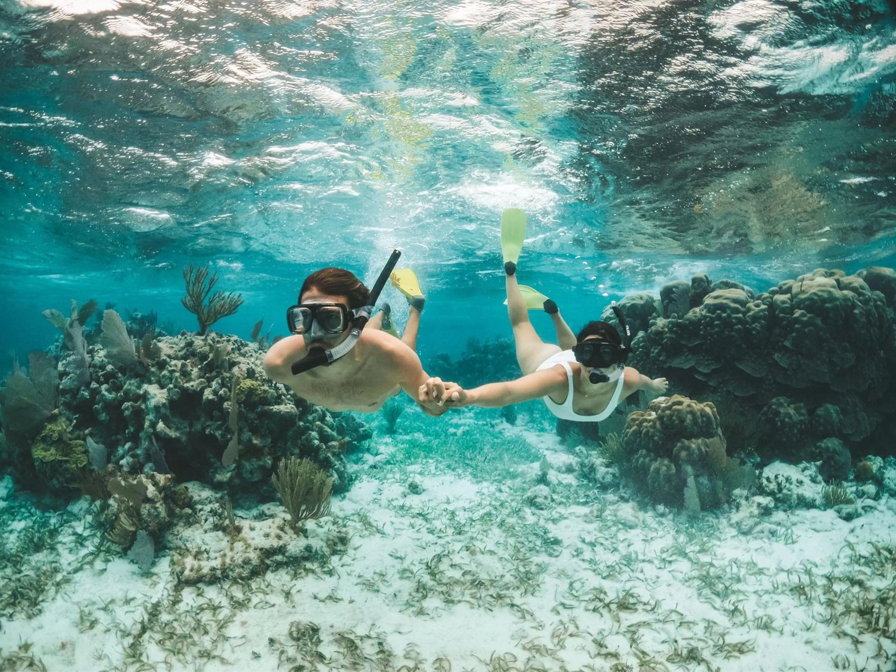 Snorkeling in Portofino Beach Resort-An Authentic Island Escape!