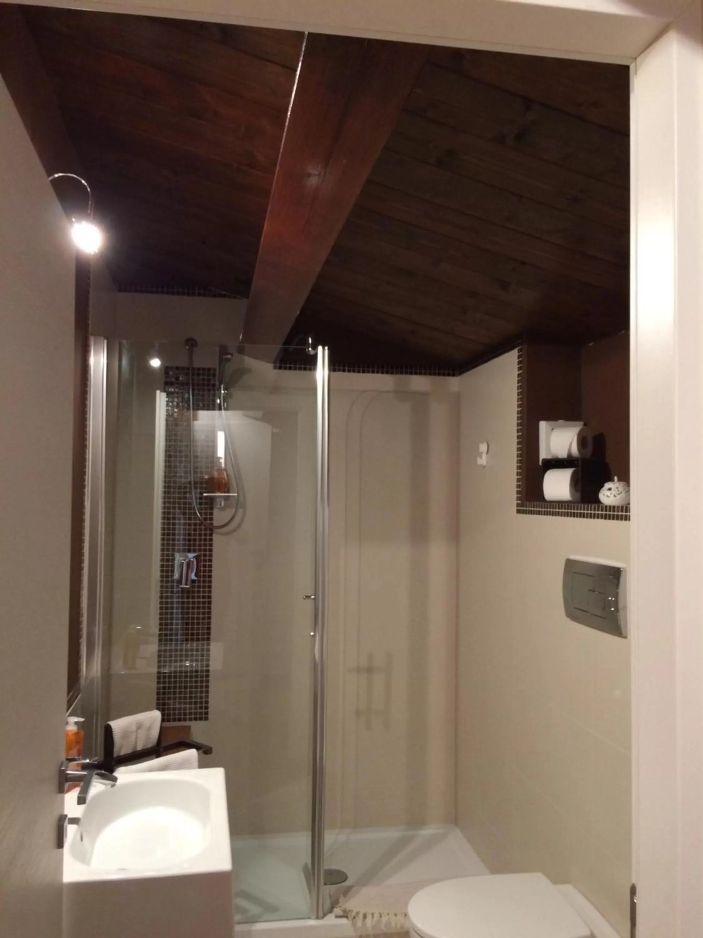 Bathroom in VIENIACASACCADIA