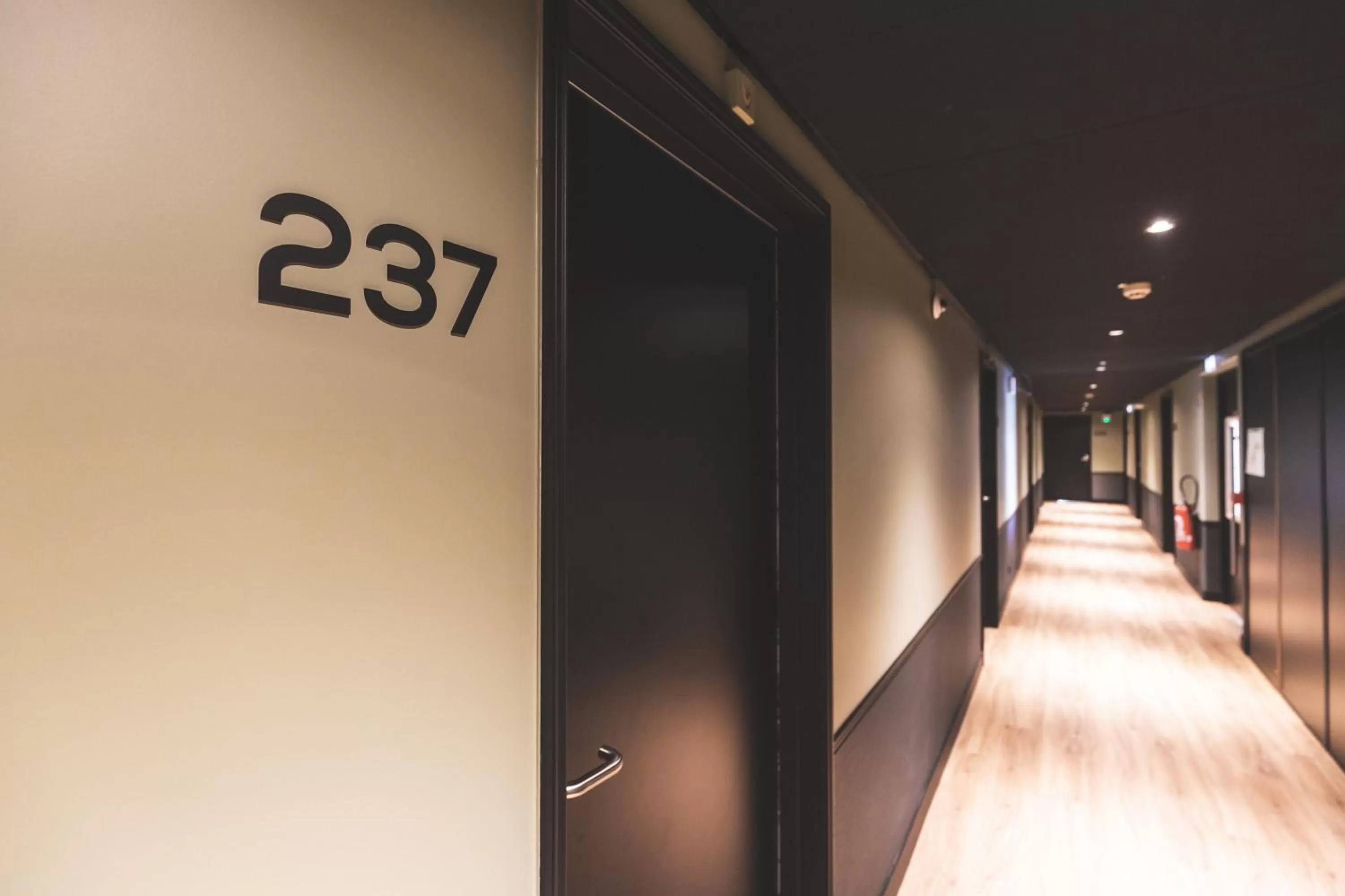 Property building in Coloft