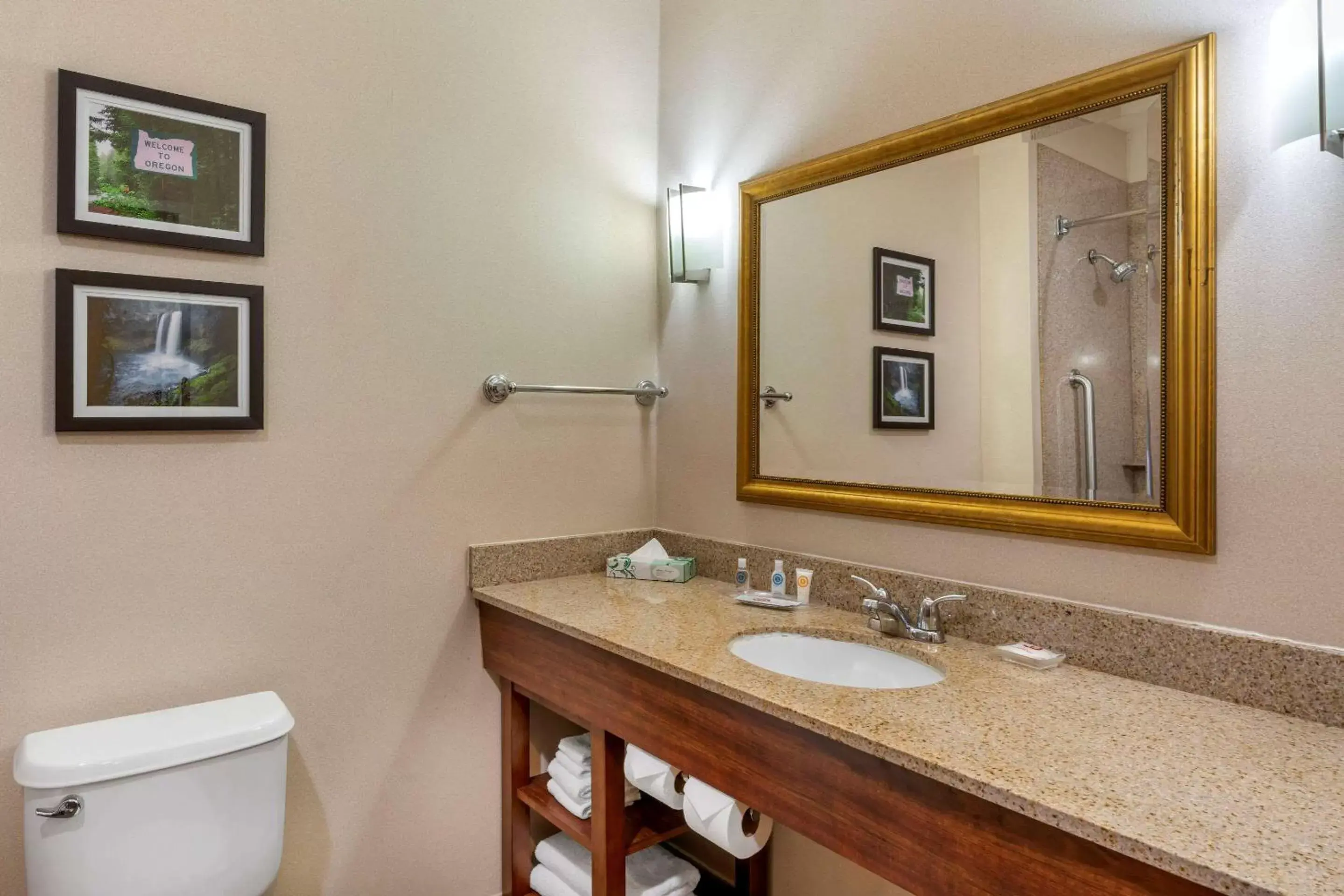 Photo of the whole room, Bathroom in Comfort Suites Eugene