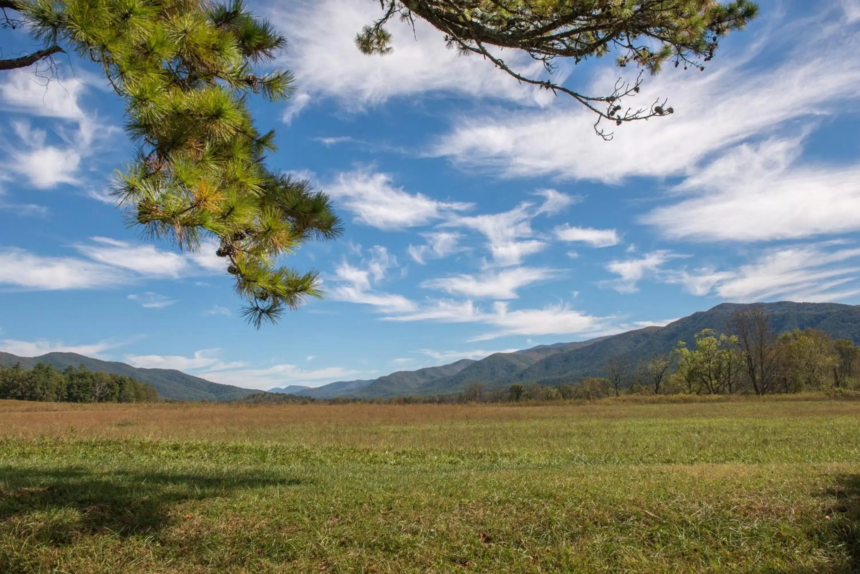 Natural Landscape in Bear Hugs