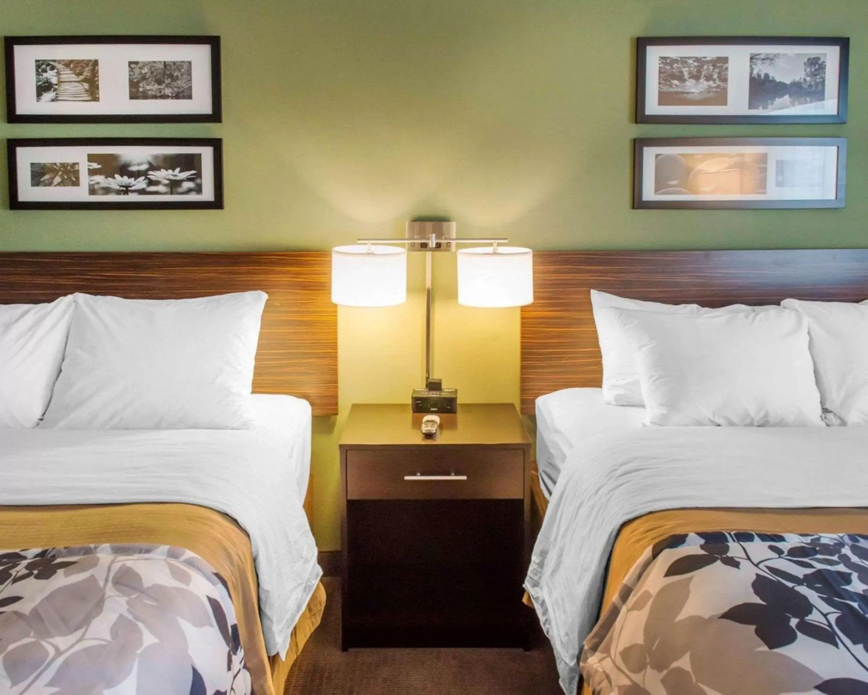 Photo of the whole room, Bed in Sleep Inn & Suites Defuniak Springs