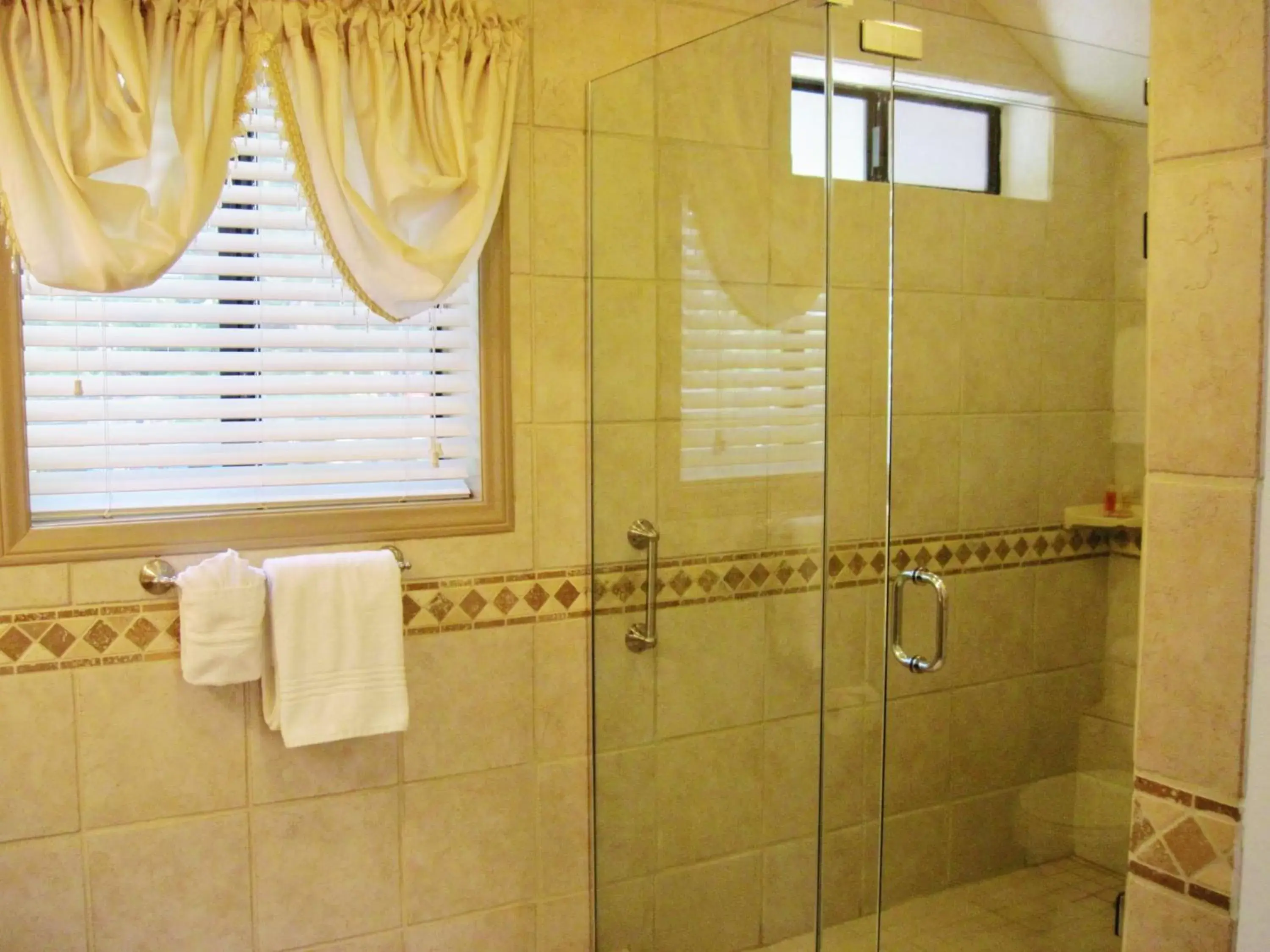 Shower, Bathroom in The North Shore Inn