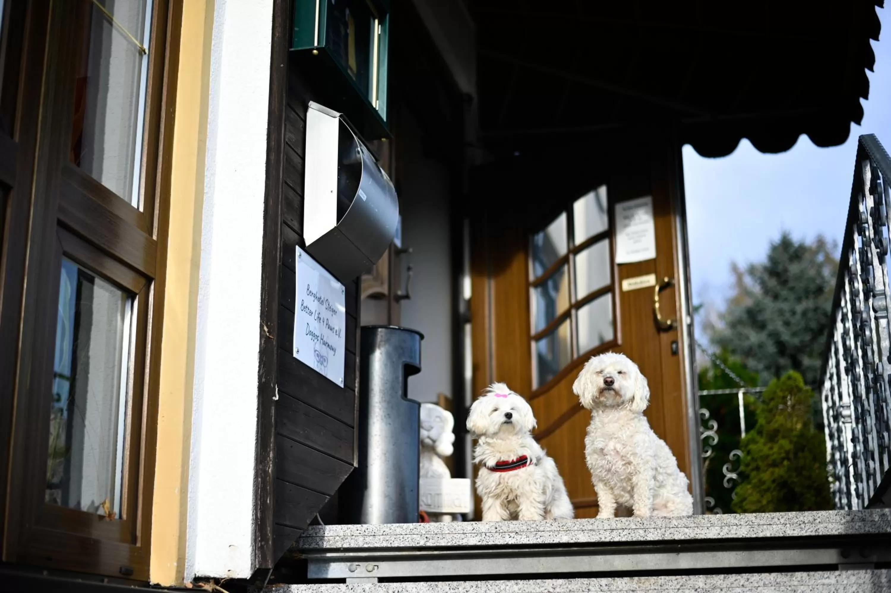 Property building in Berghotel Steiger - Erzgebirge