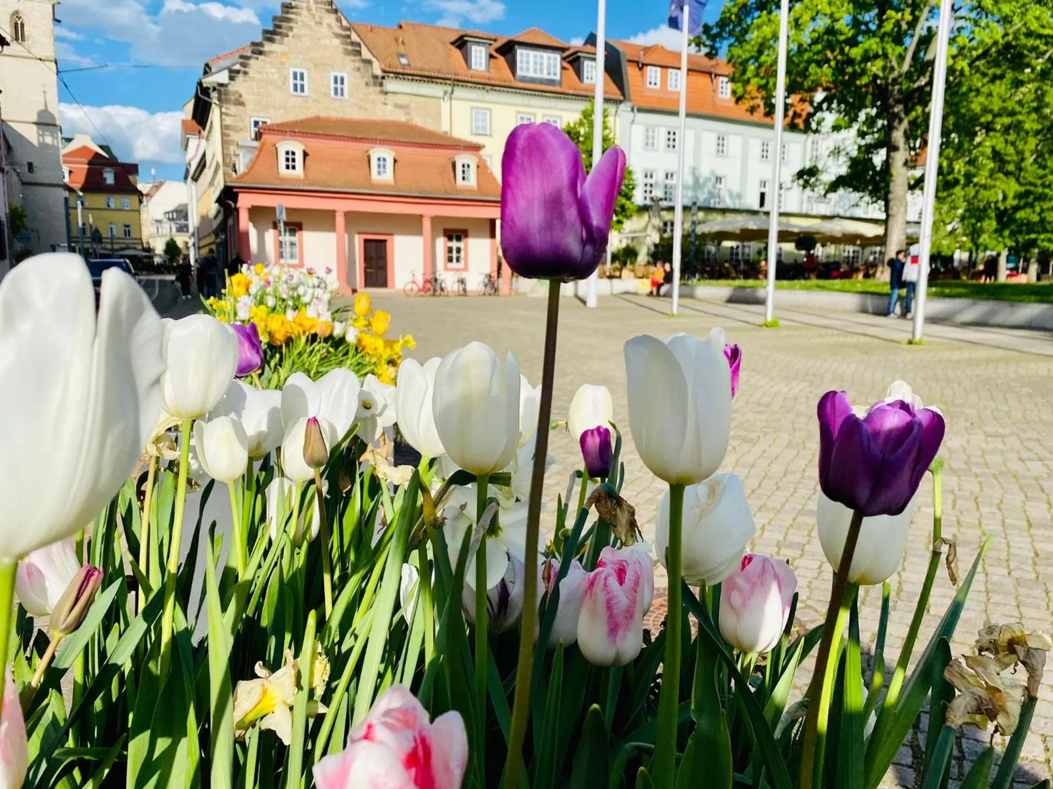 Spring in Bärliner Hotel