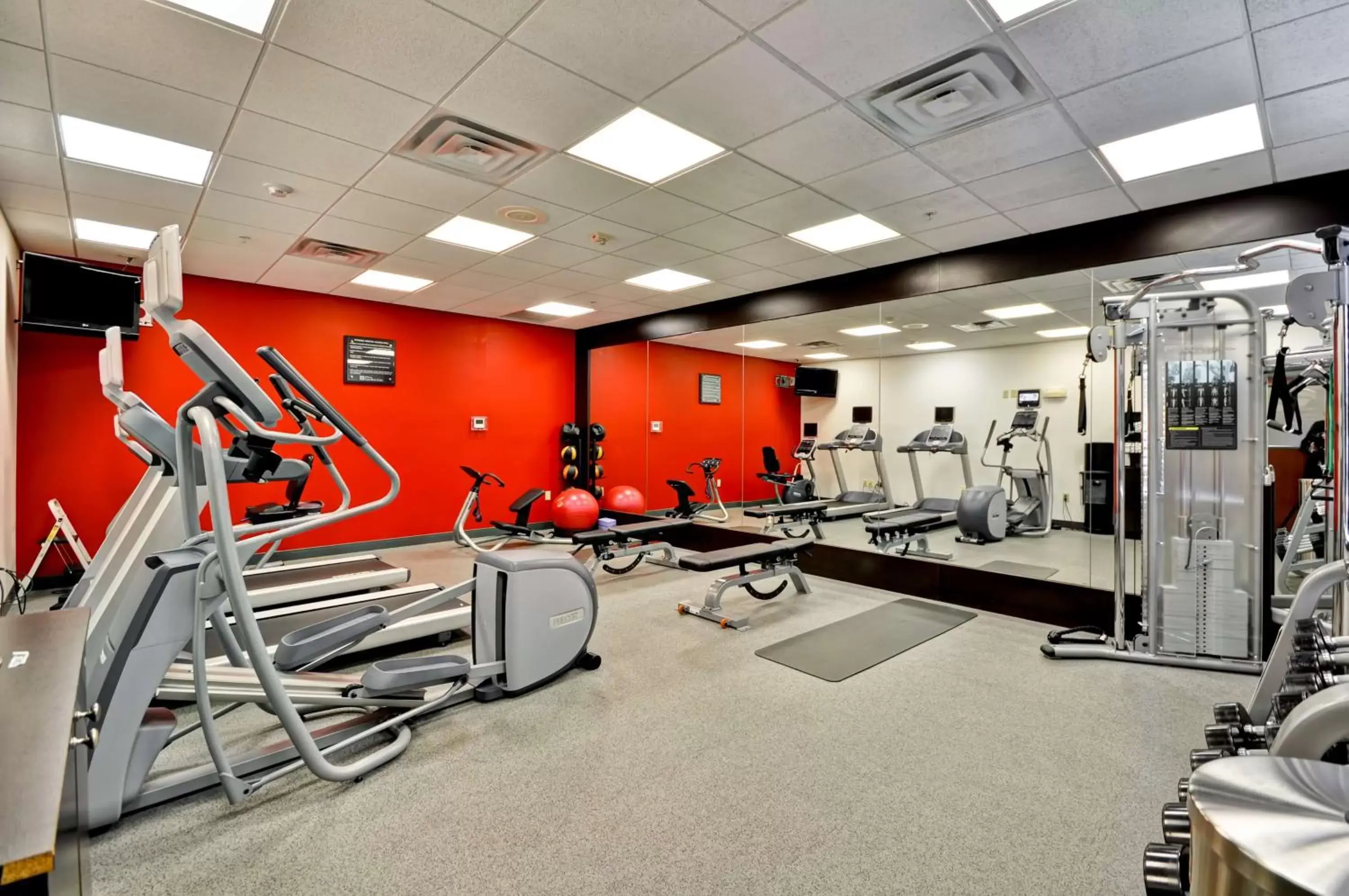 Fitness centre/facilities, Fitness Center/Facilities in Hilton Garden Inn Tampa Northwest/Oldsmar
