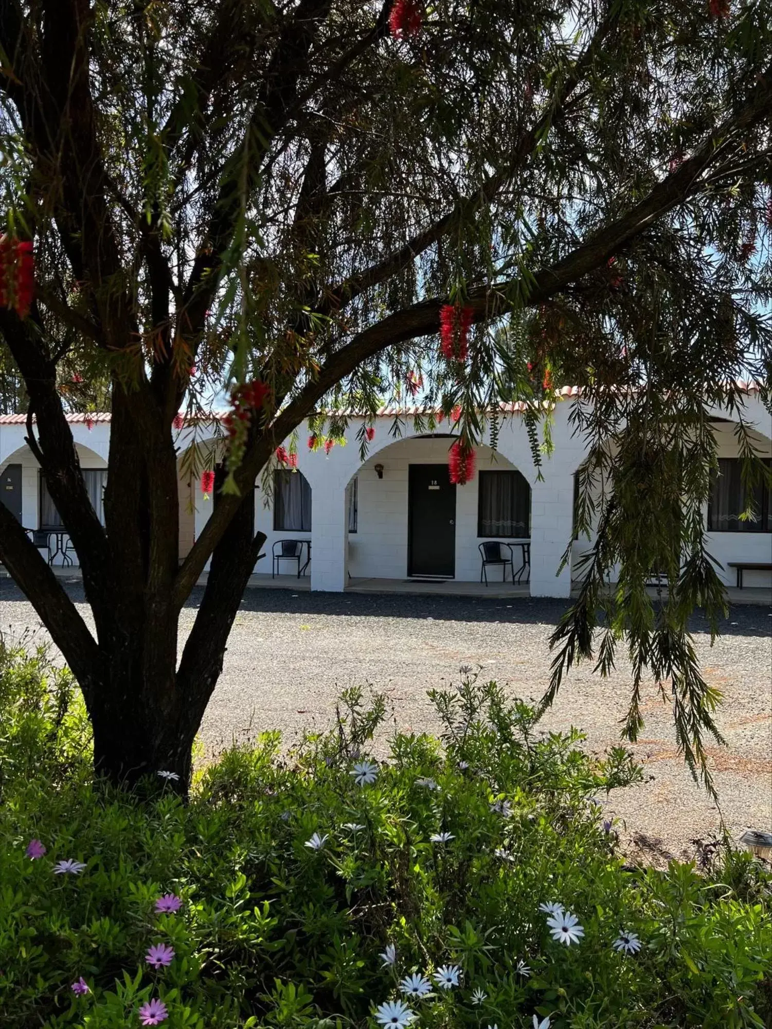 Property building in Azalea Motel Property building in Azalea Motel
