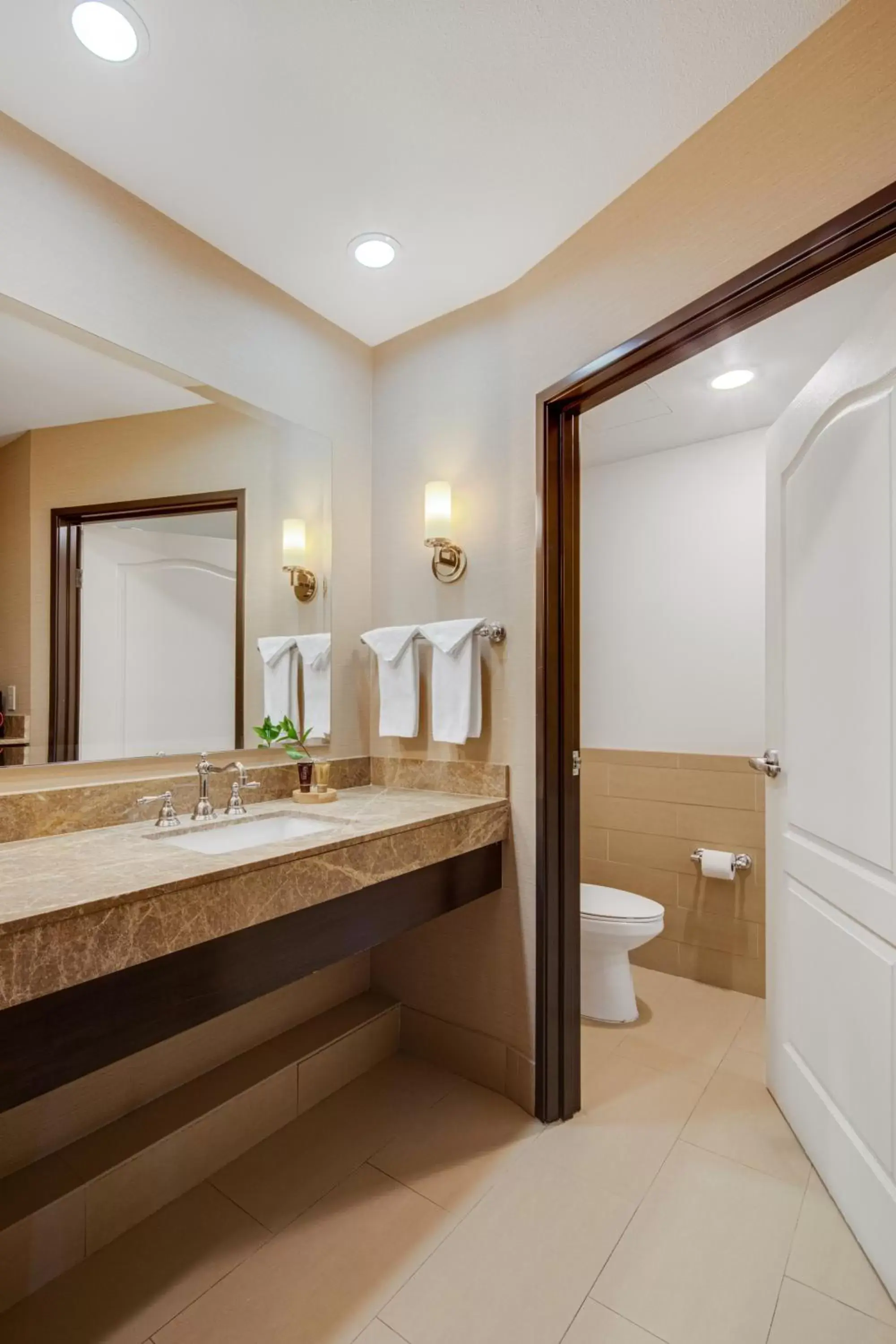 Toilet, Bathroom in Ayres Hotel & Spa Moreno Valley/Riverside