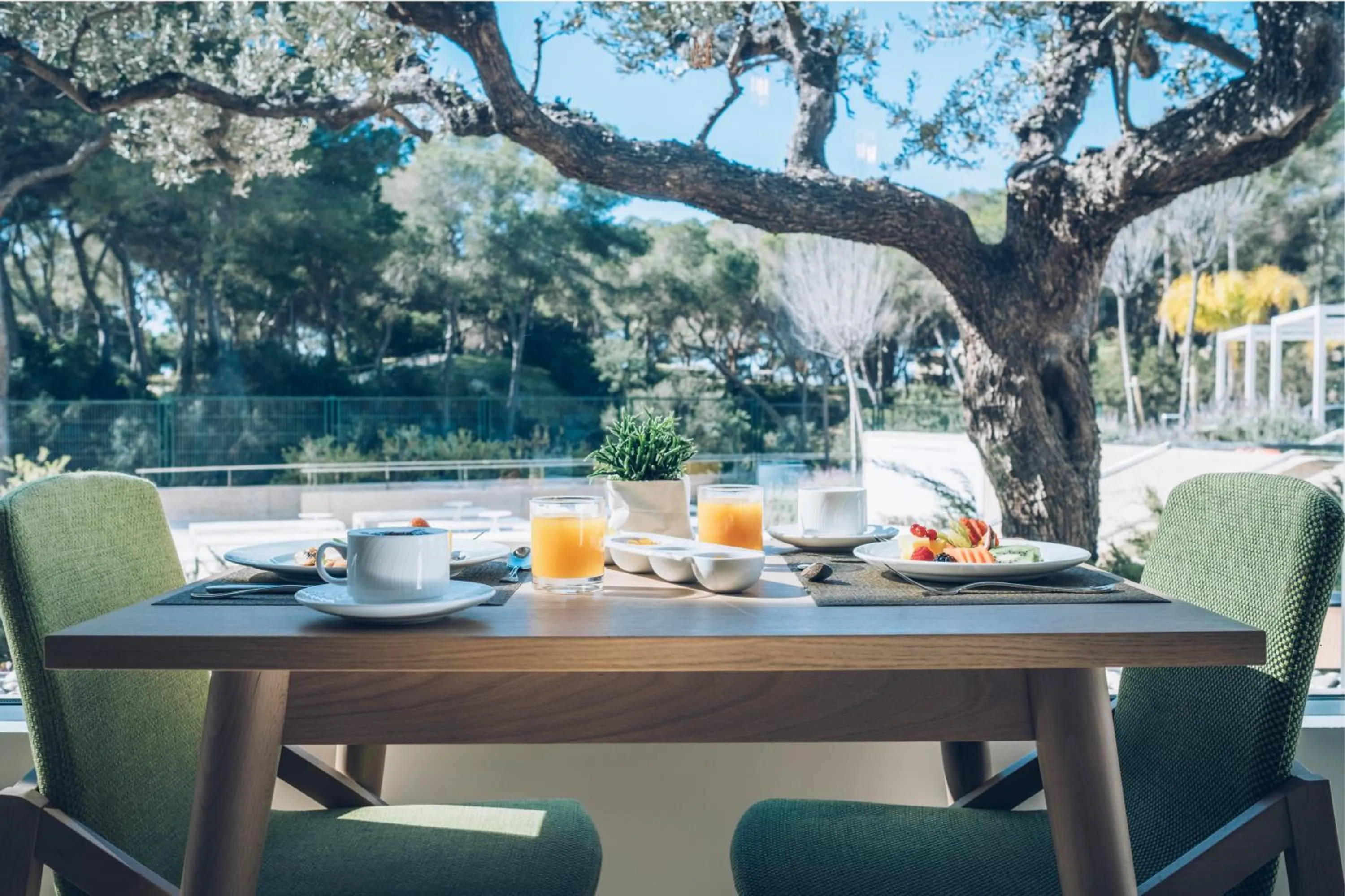 Restaurant/places to eat in Iberostar Selection Llaut Palma- Adults Only