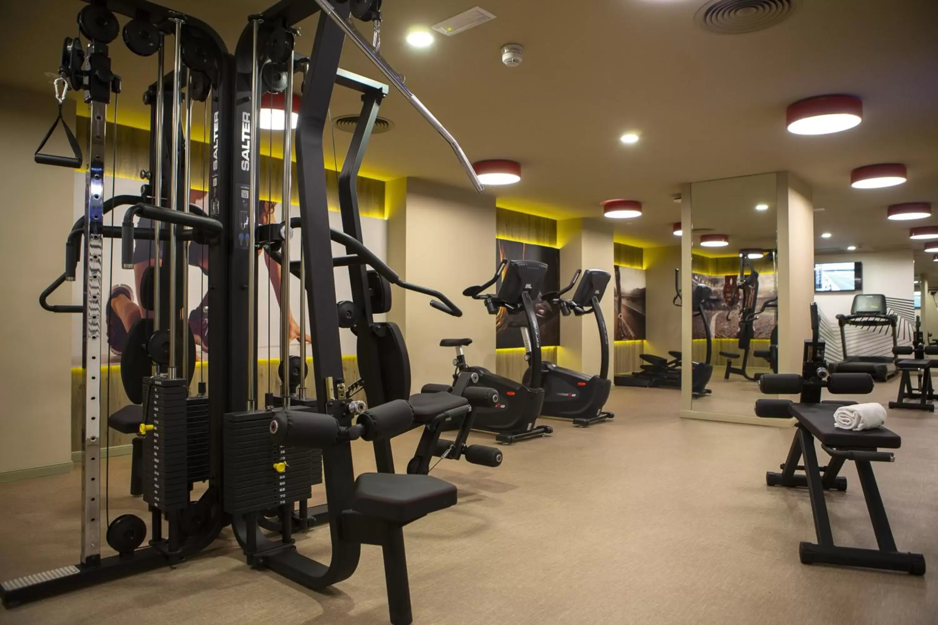 Fitness centre/facilities, Fitness Center/Facilities in Riu Plaza España