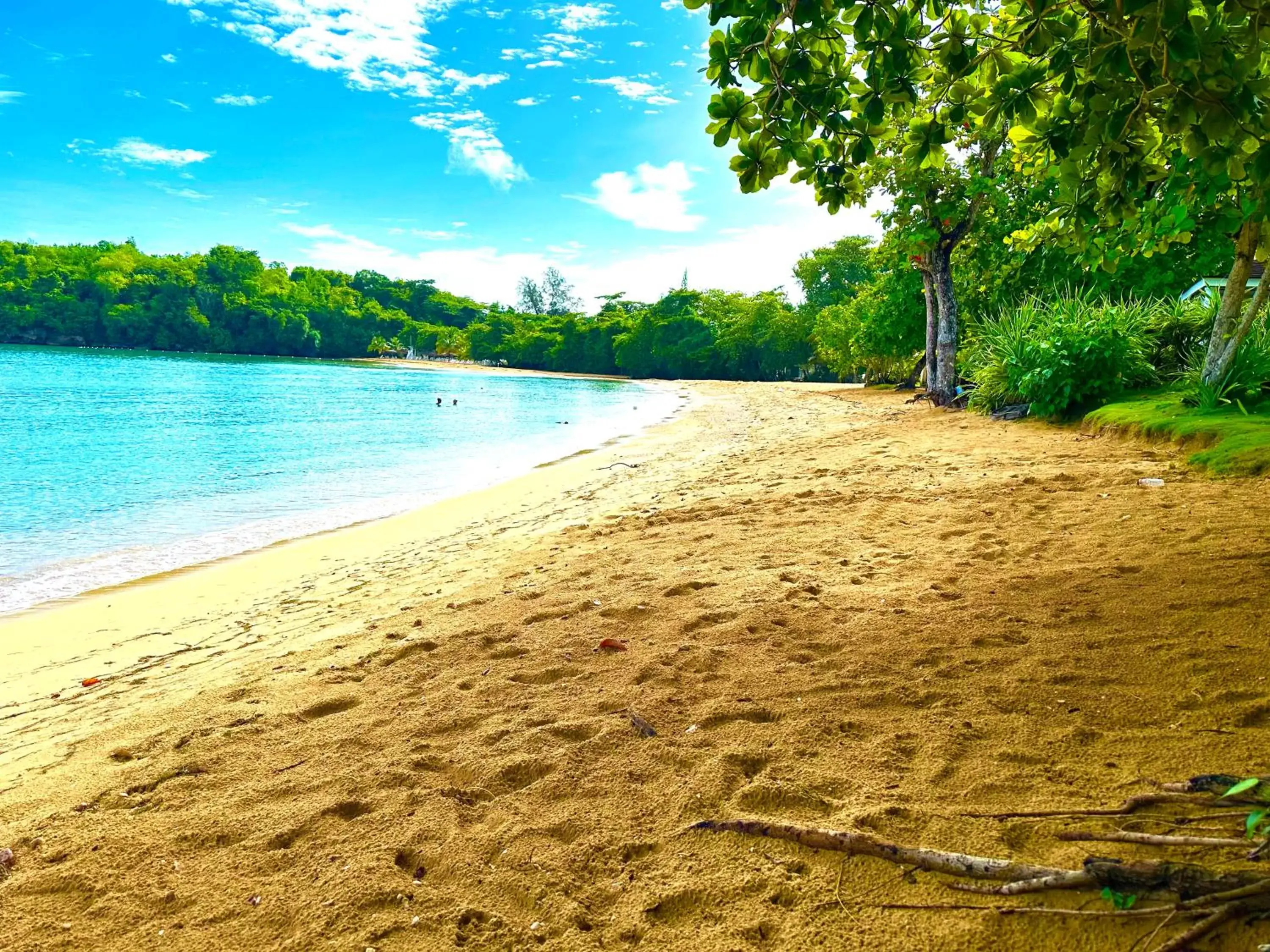 Beach in Sand and Tan Beach Hotel