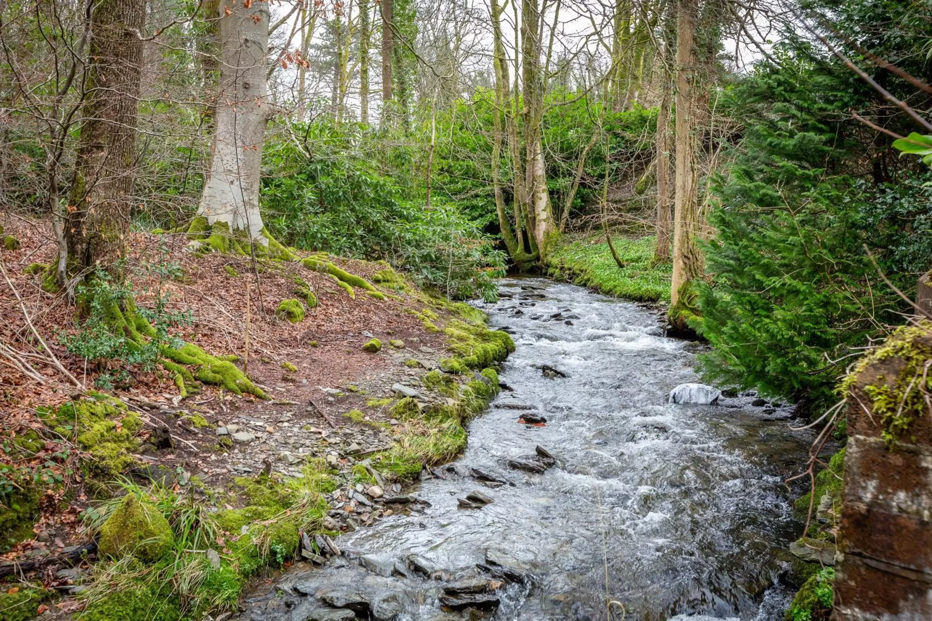 Natural Landscape in Glencree