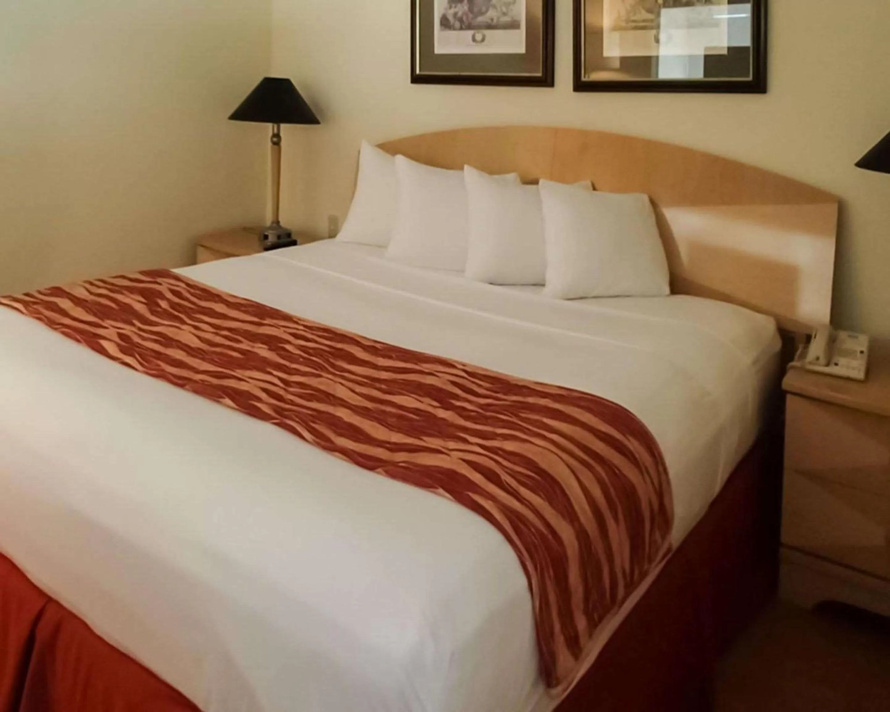 Photo of the whole room, Bed in Rodeway Inn South Miami - Coral Gables