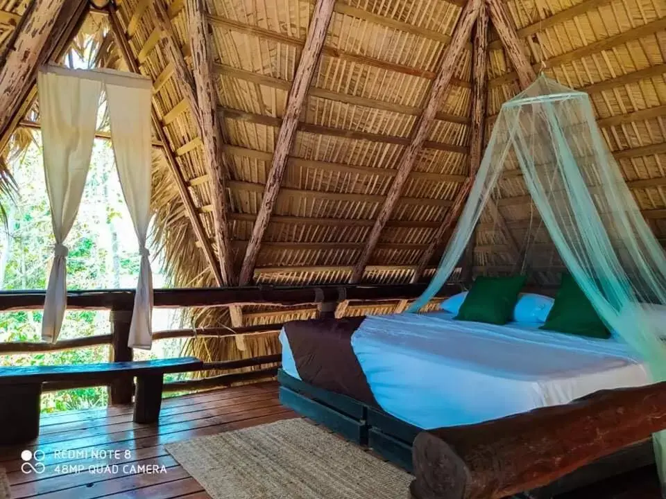 Room Photo in Cabarete Maravilla Eco Lodge Boutique Beach Surf & Kite