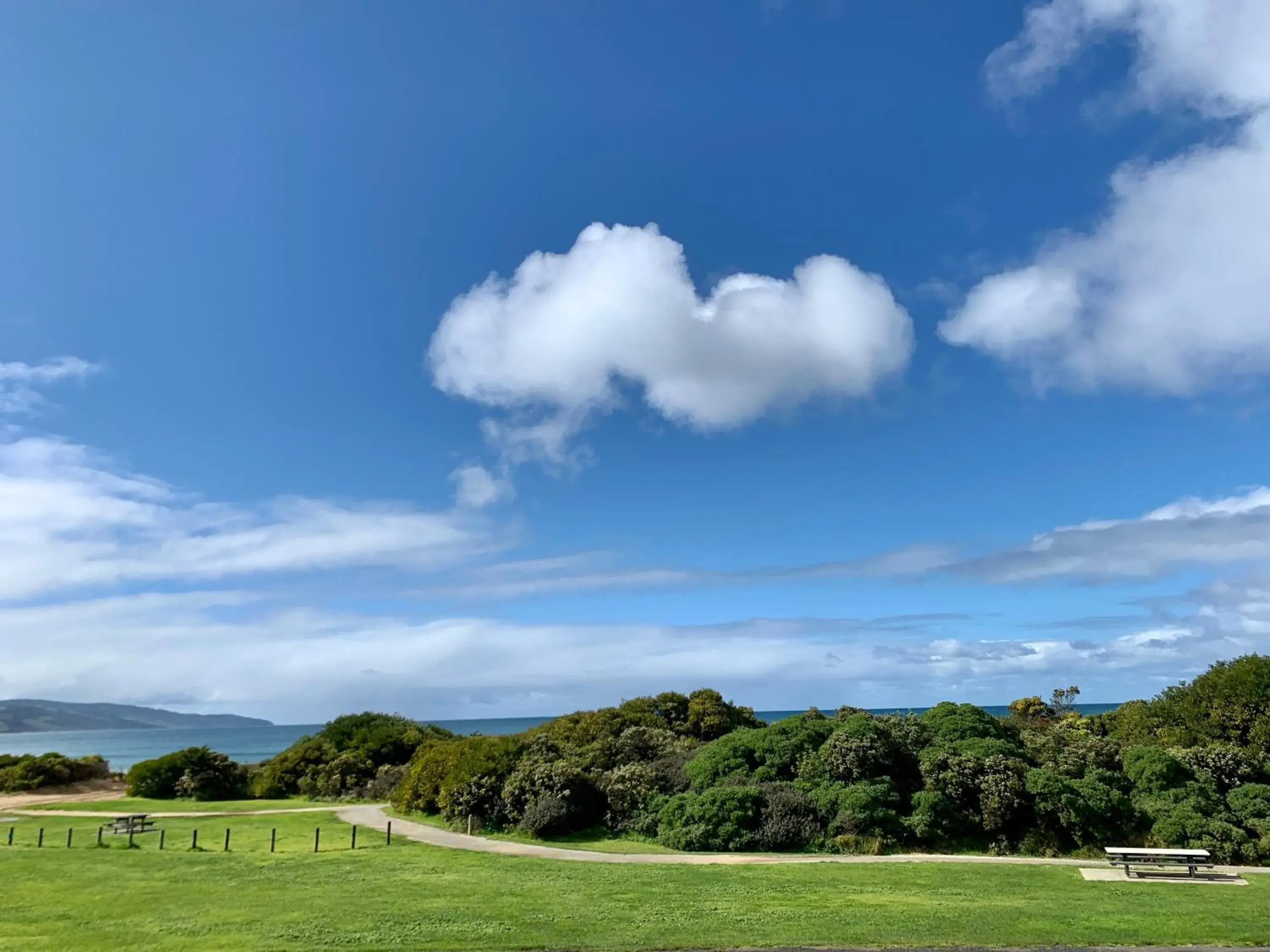 Sea view in Apollo Bay Waterfront Motor Inn