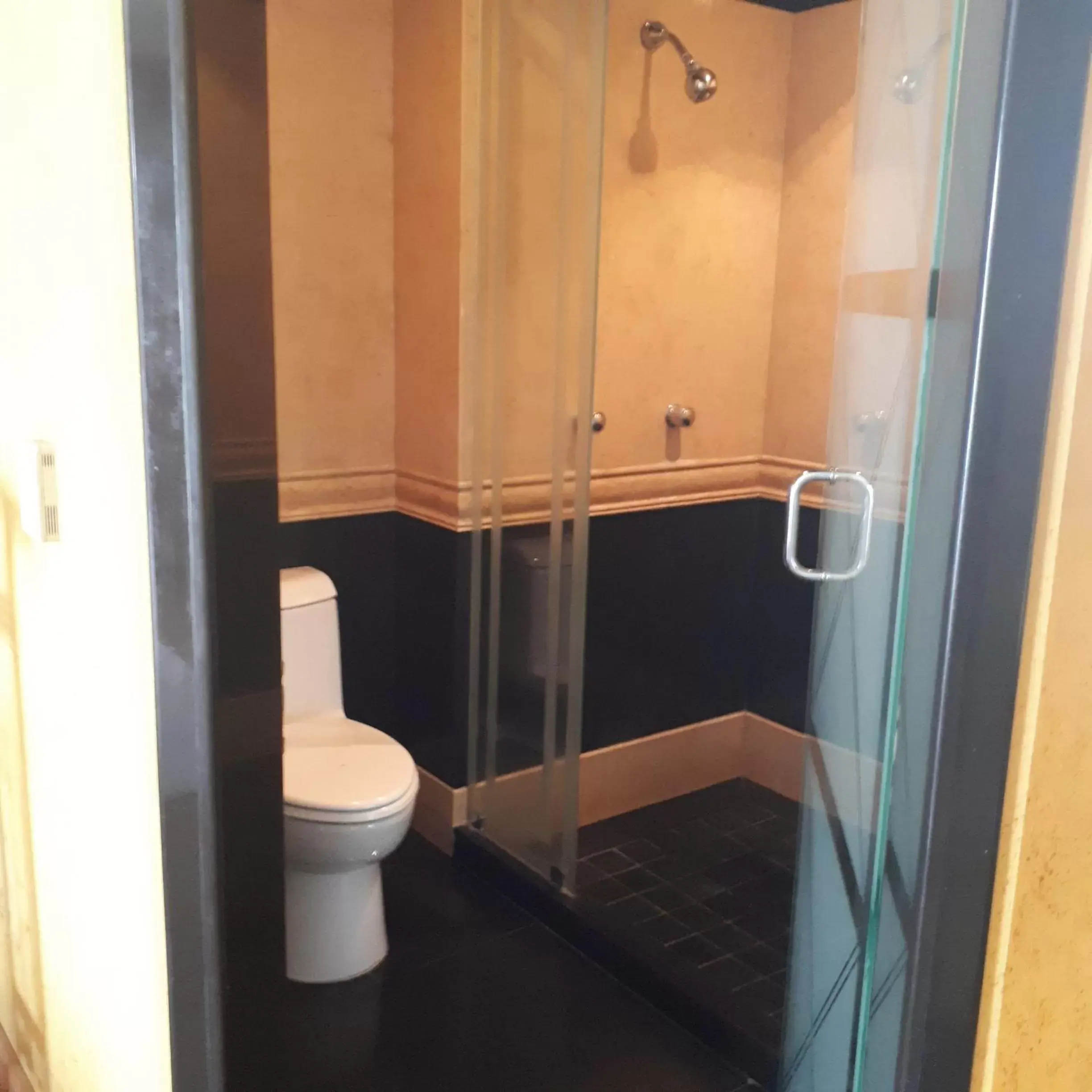 Shower, Bathroom in Villas Princess Hotel