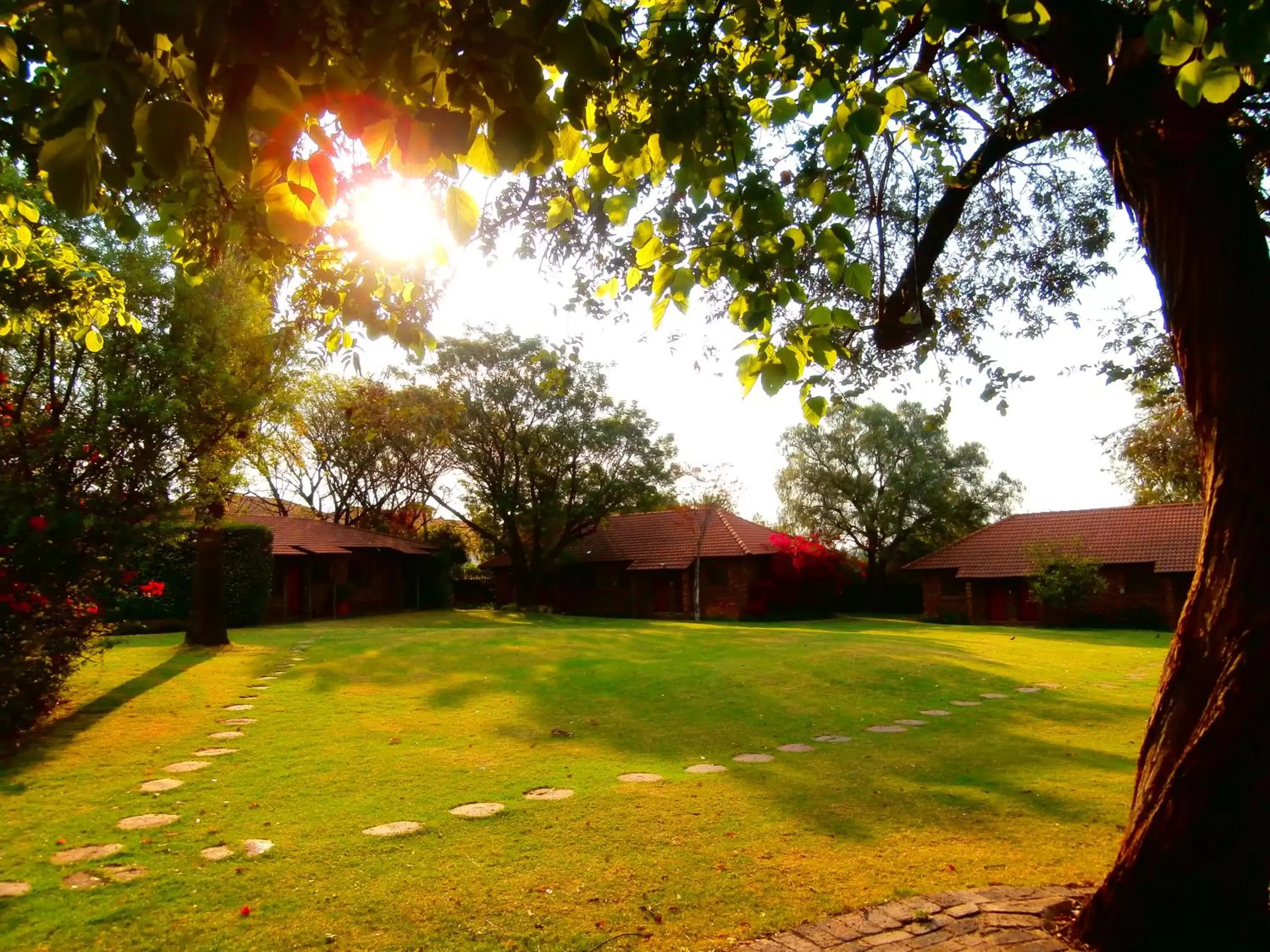 Garden view, Garden in African Footprints Lodge