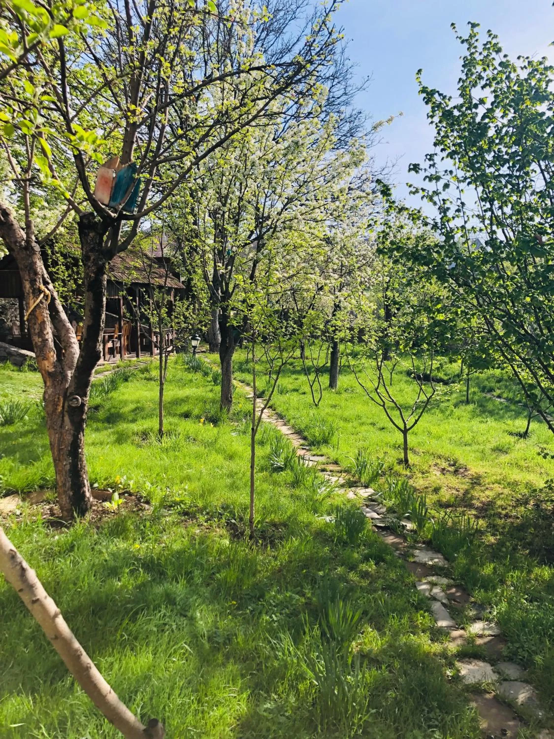 Garden in Dil Hill by Sam