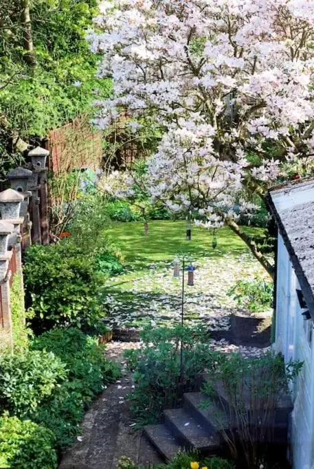 Garden in Comfortable rooms