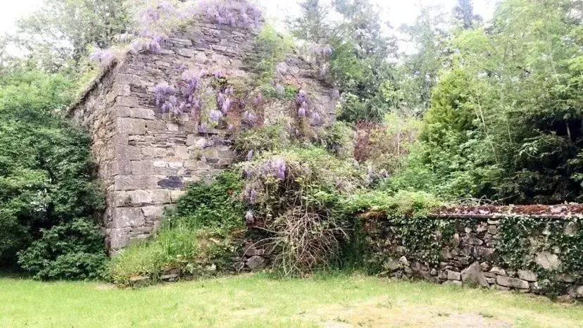 Garden in Lacken Millhouse and Gardens