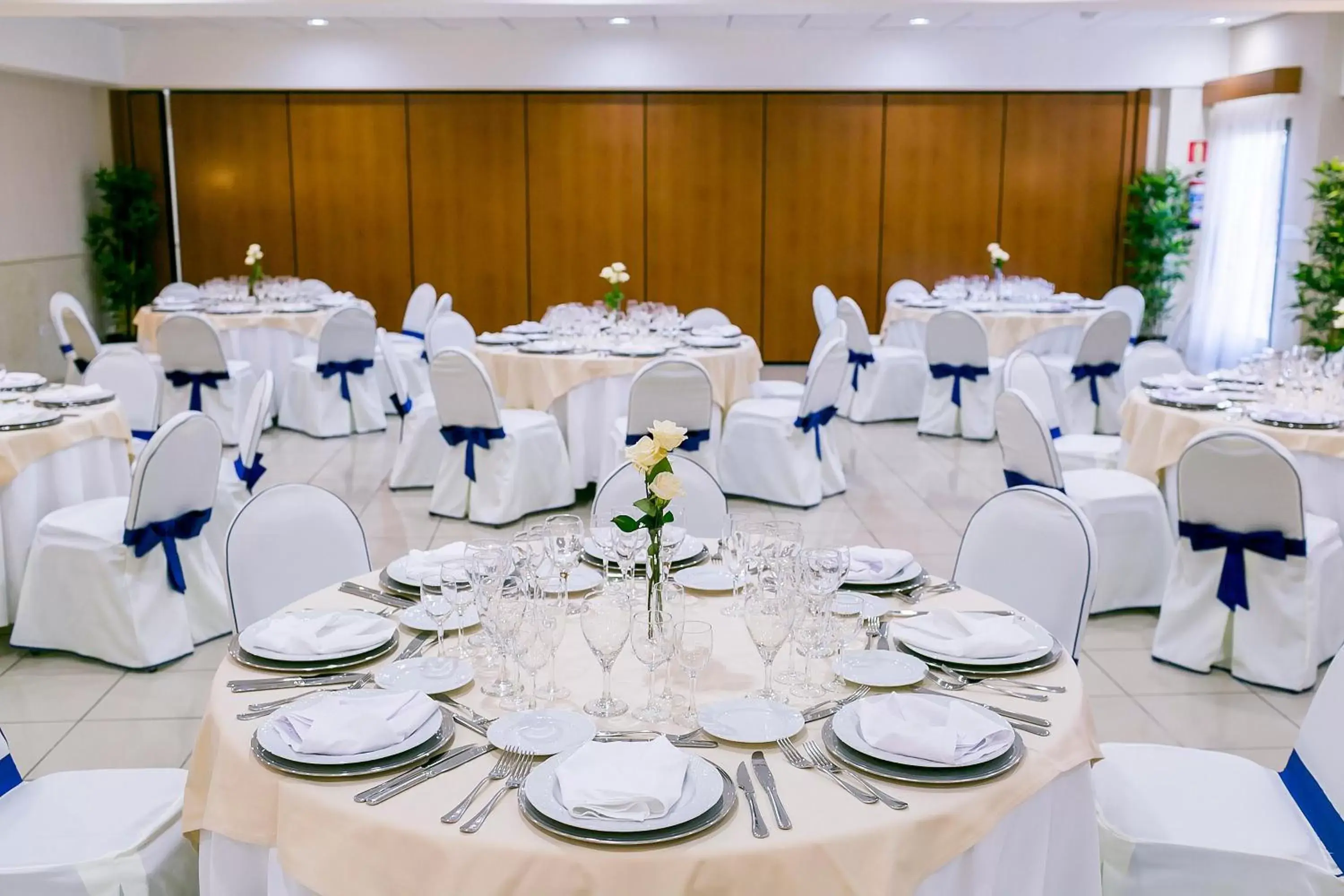 Meeting/conference room, Banquet Facilities in Hotel Playas de Torrevieja