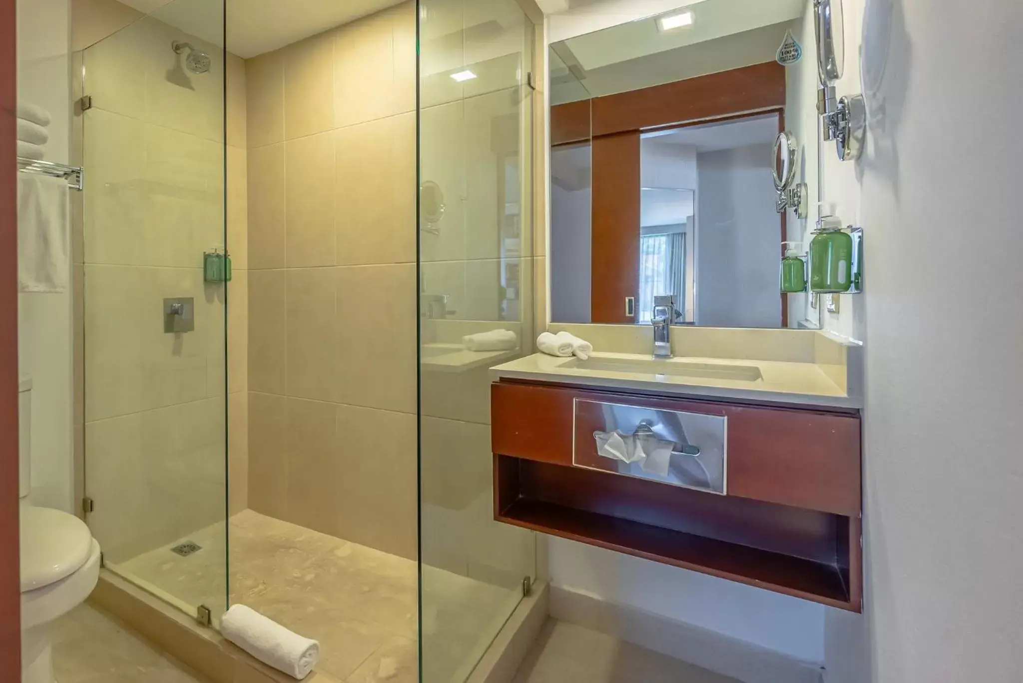 Bathroom in Holiday Inn - San Jose La Sabana, an IHG Hotel