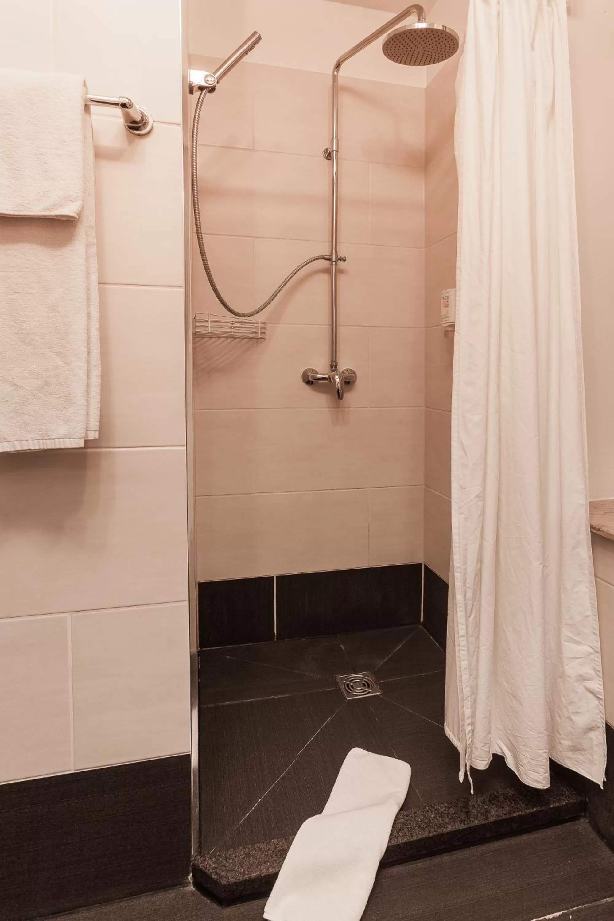 Shower in Hotel Aviv Dresden